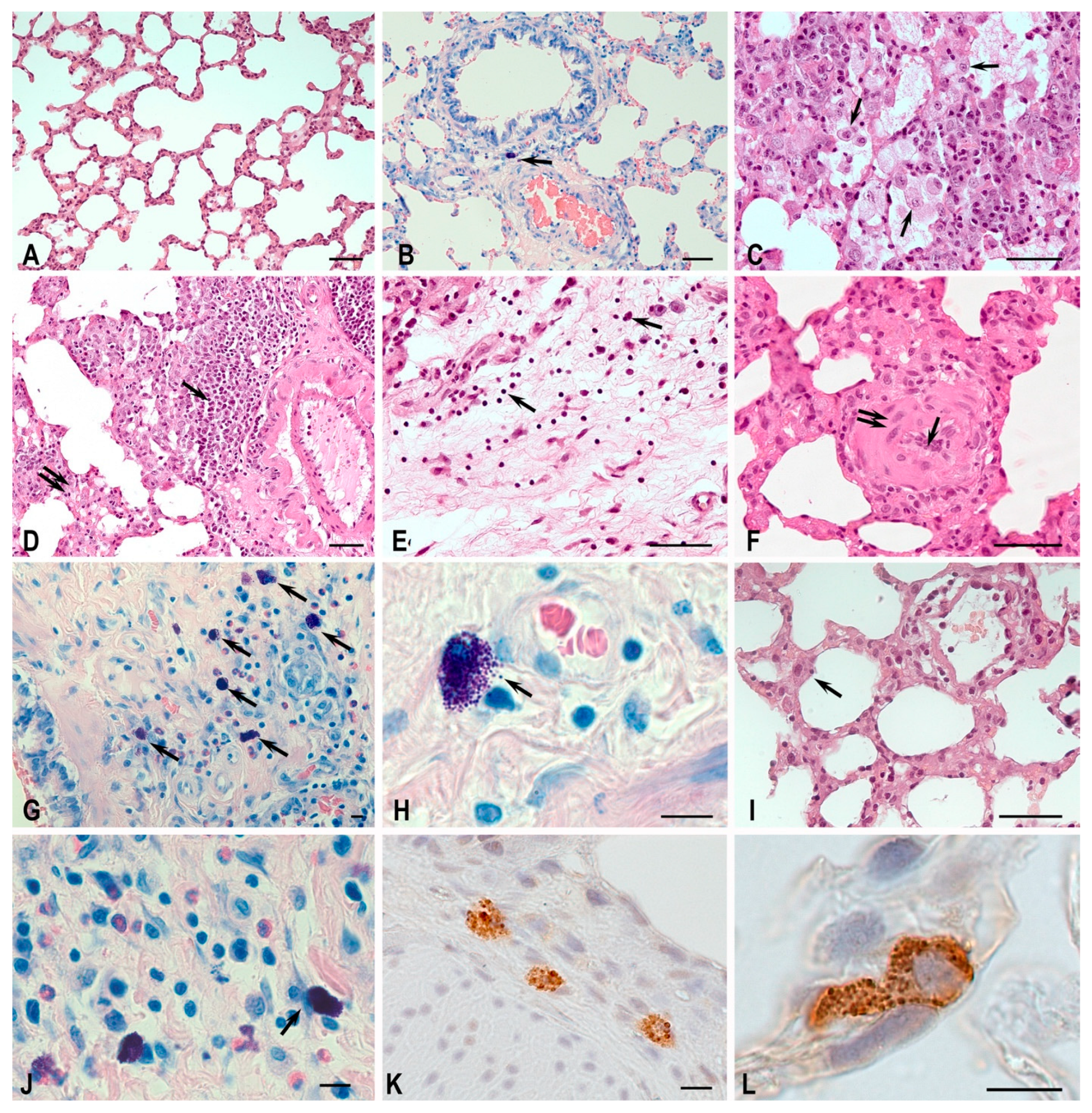Biomedicines 11 03141 g004