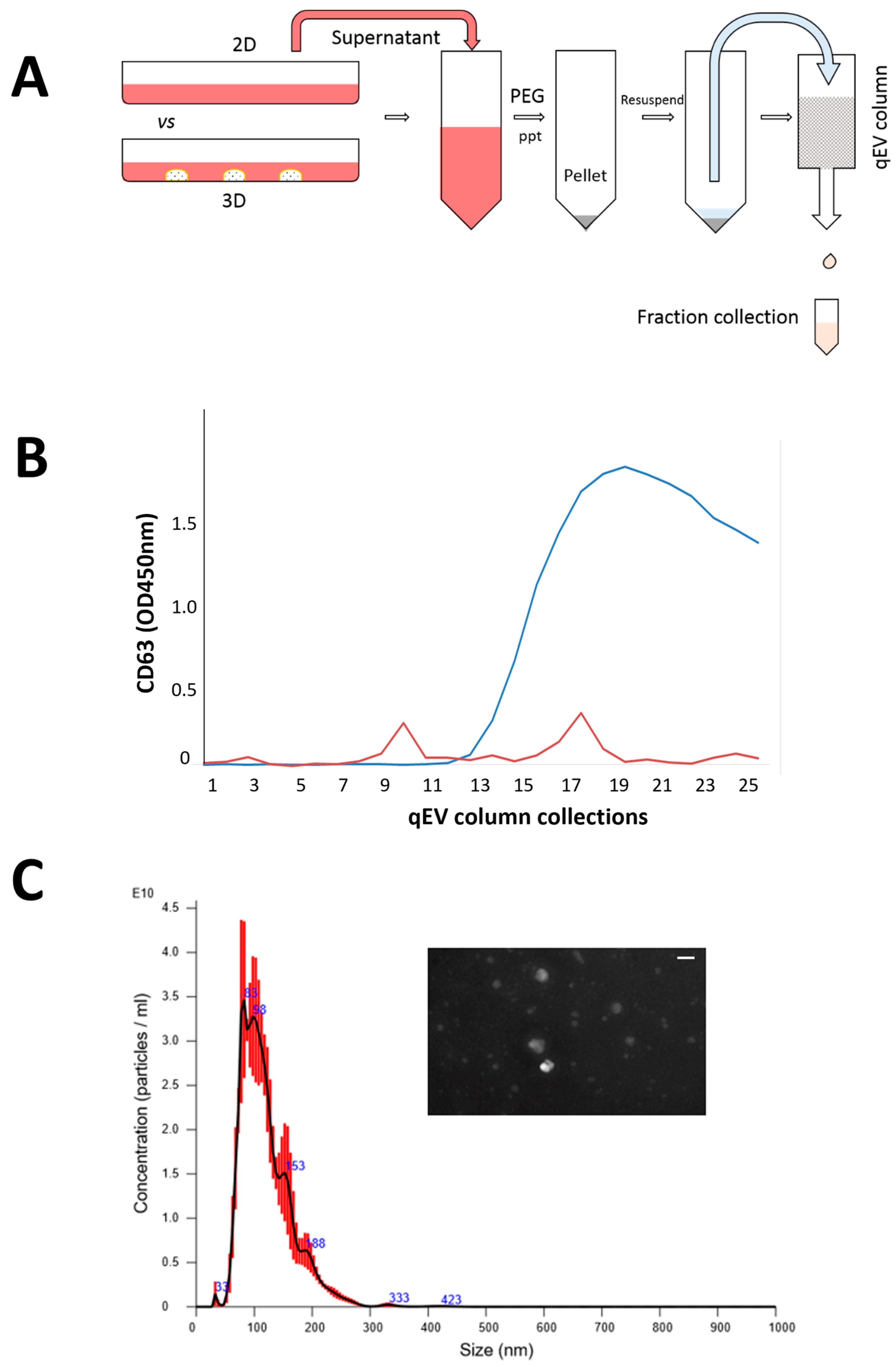 Biomedicines 11 03145 g002