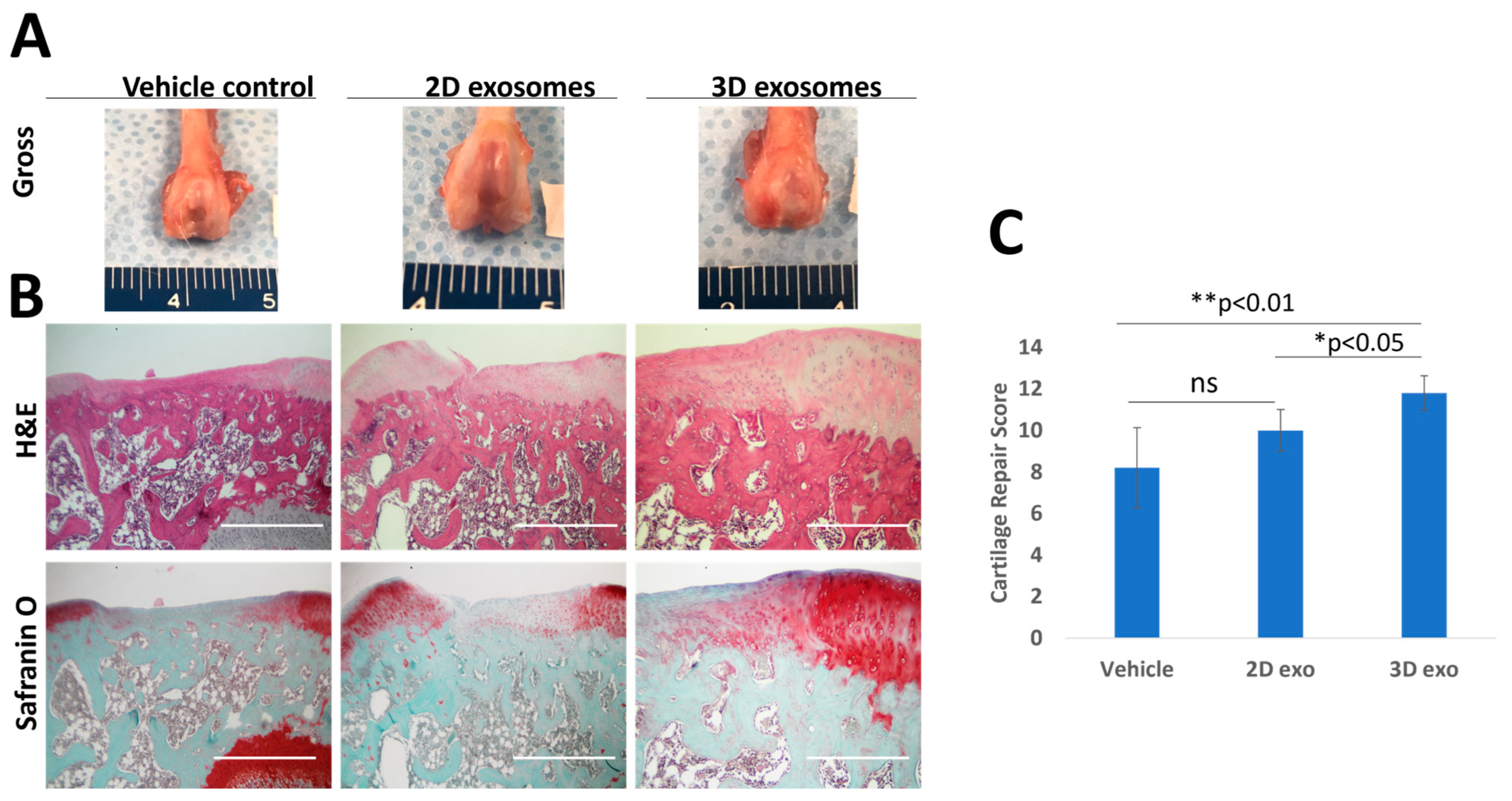Biomedicines 11 03145 g005