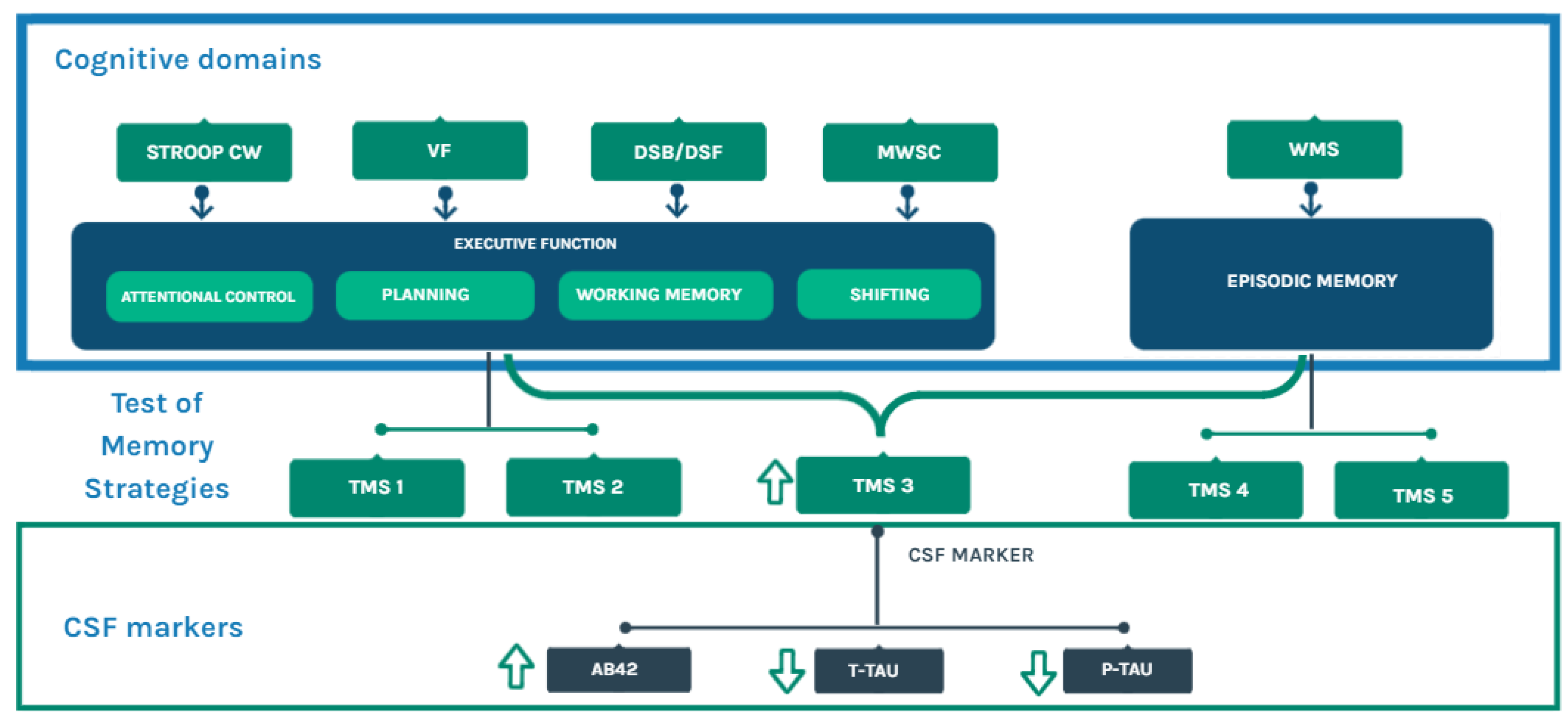 Biomedicines 11 03147 g001