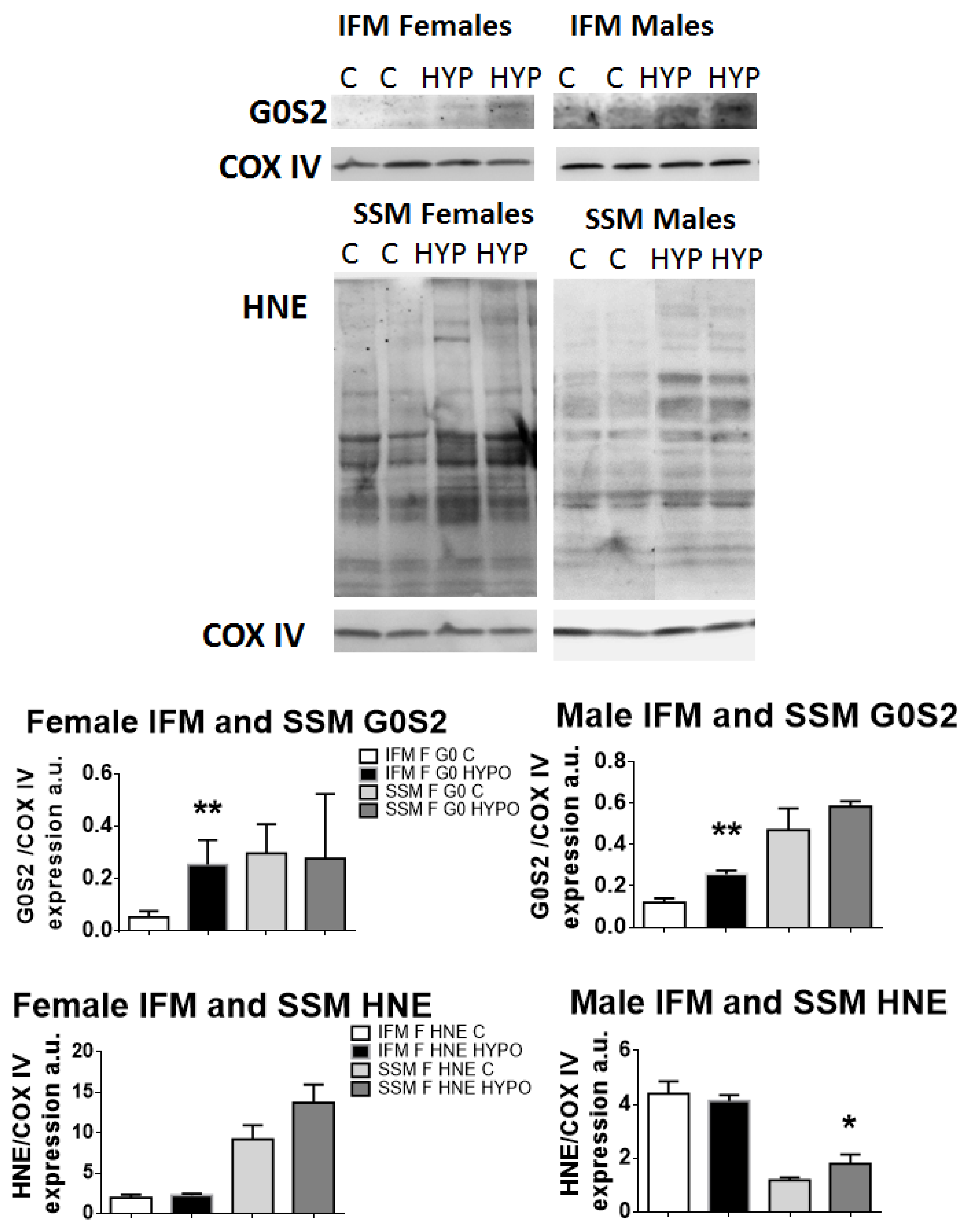 Biomedicines 11 03149 g005