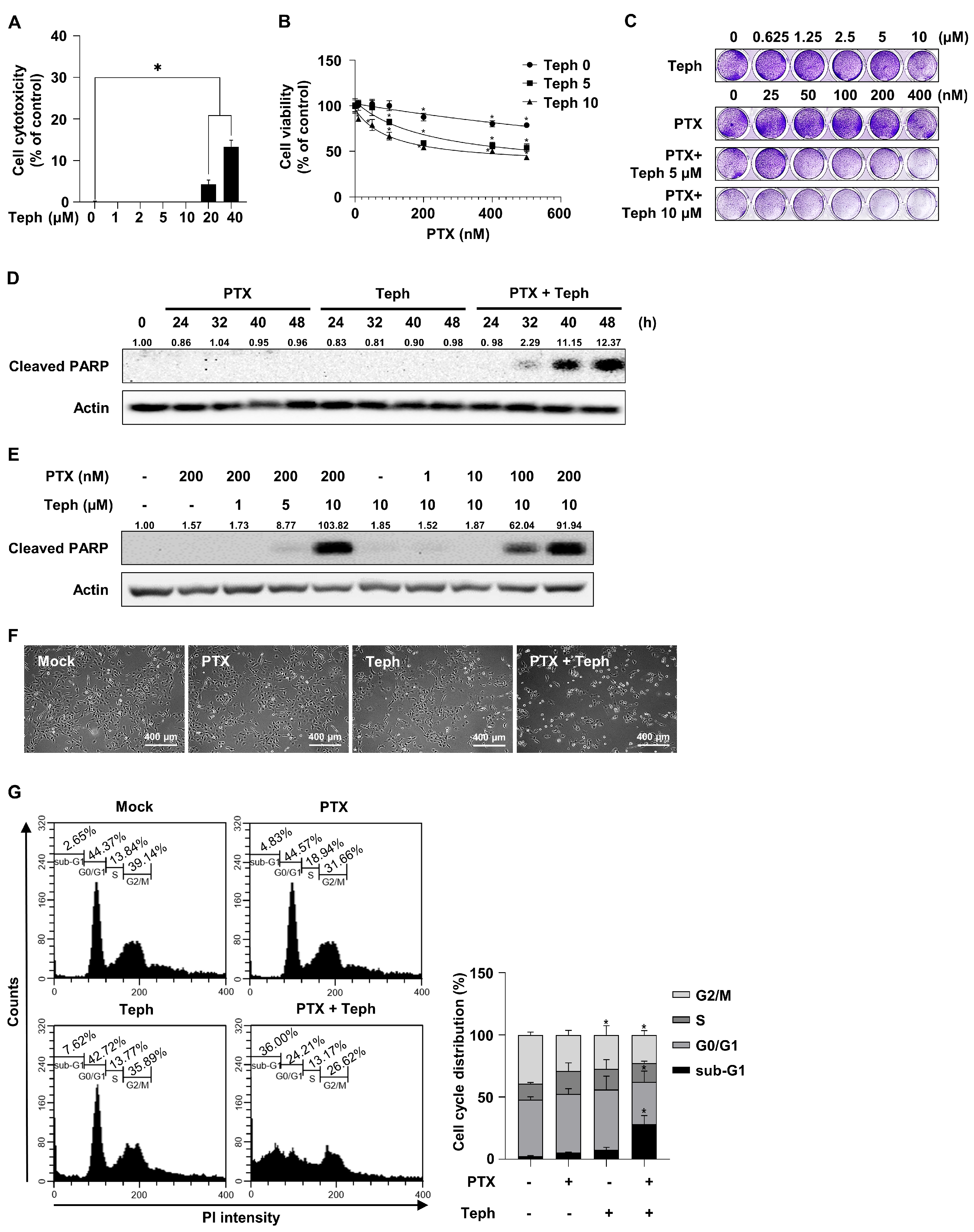 Biomedicines 11 03155 g001