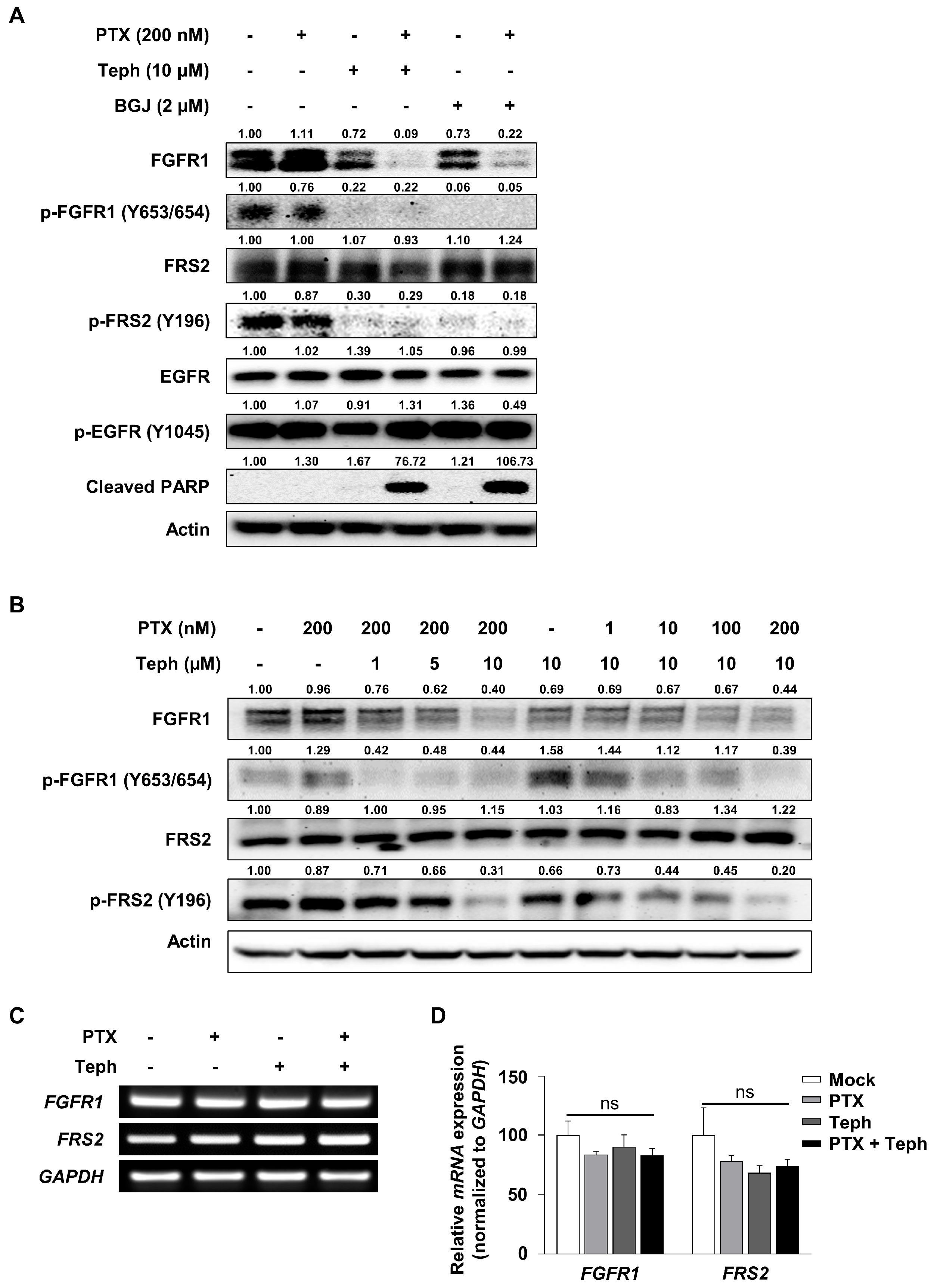Biomedicines 11 03155 g003