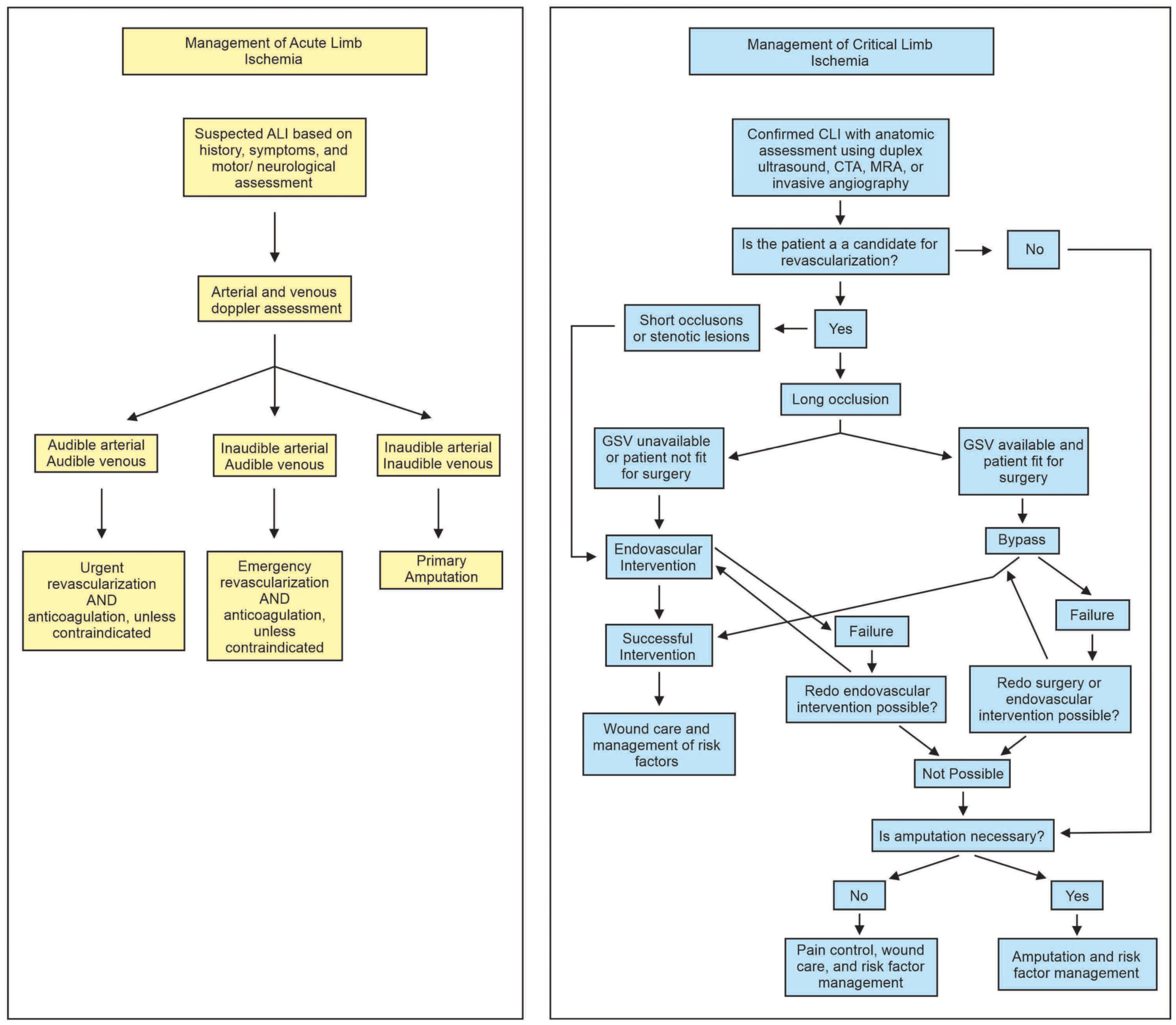 Biomedicines 11 03157 g002