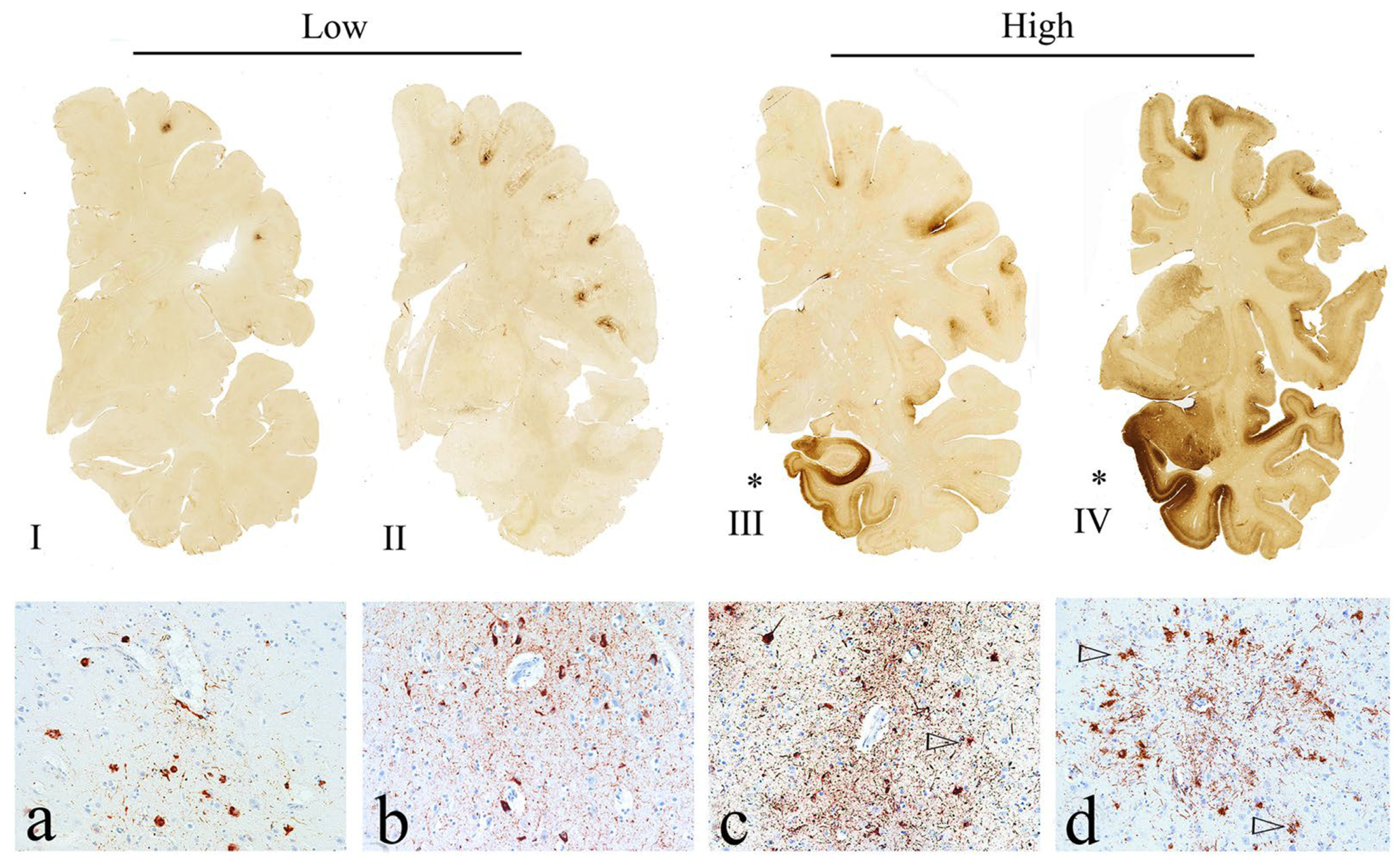 Biomedicines 11 03158 g002