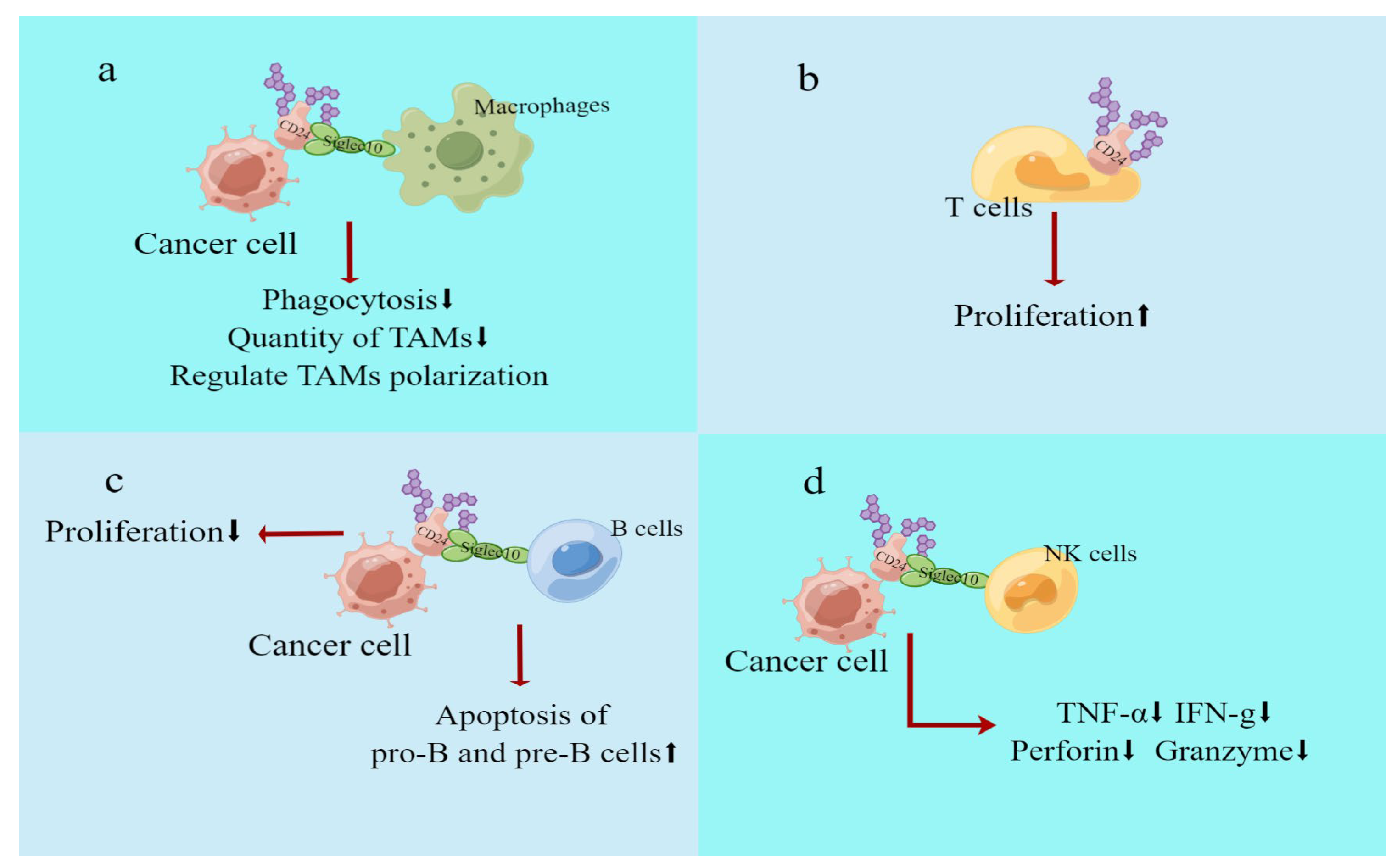 Biomedicines 11 03159 g004