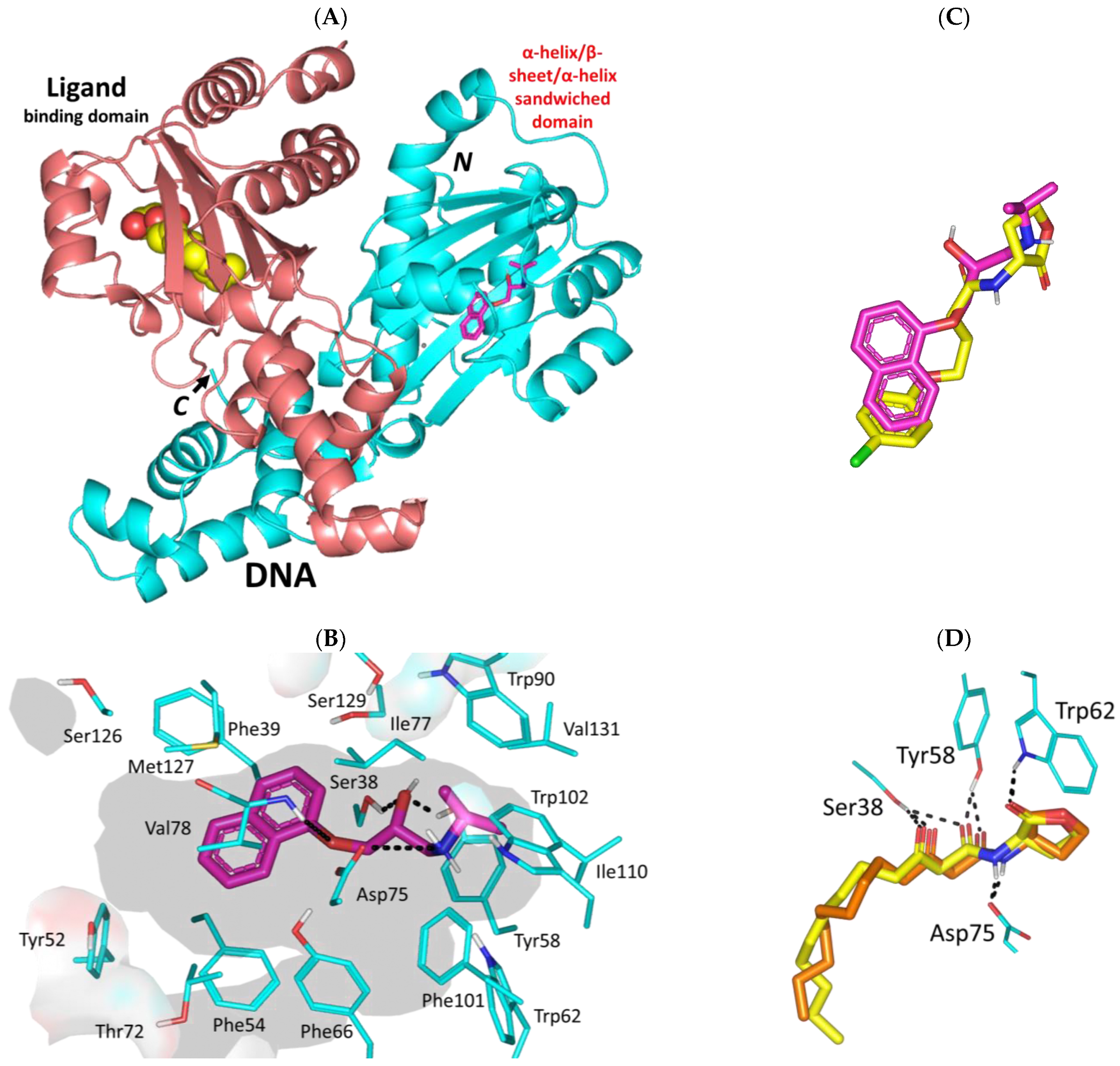 Biomedicines 11 03161 g004