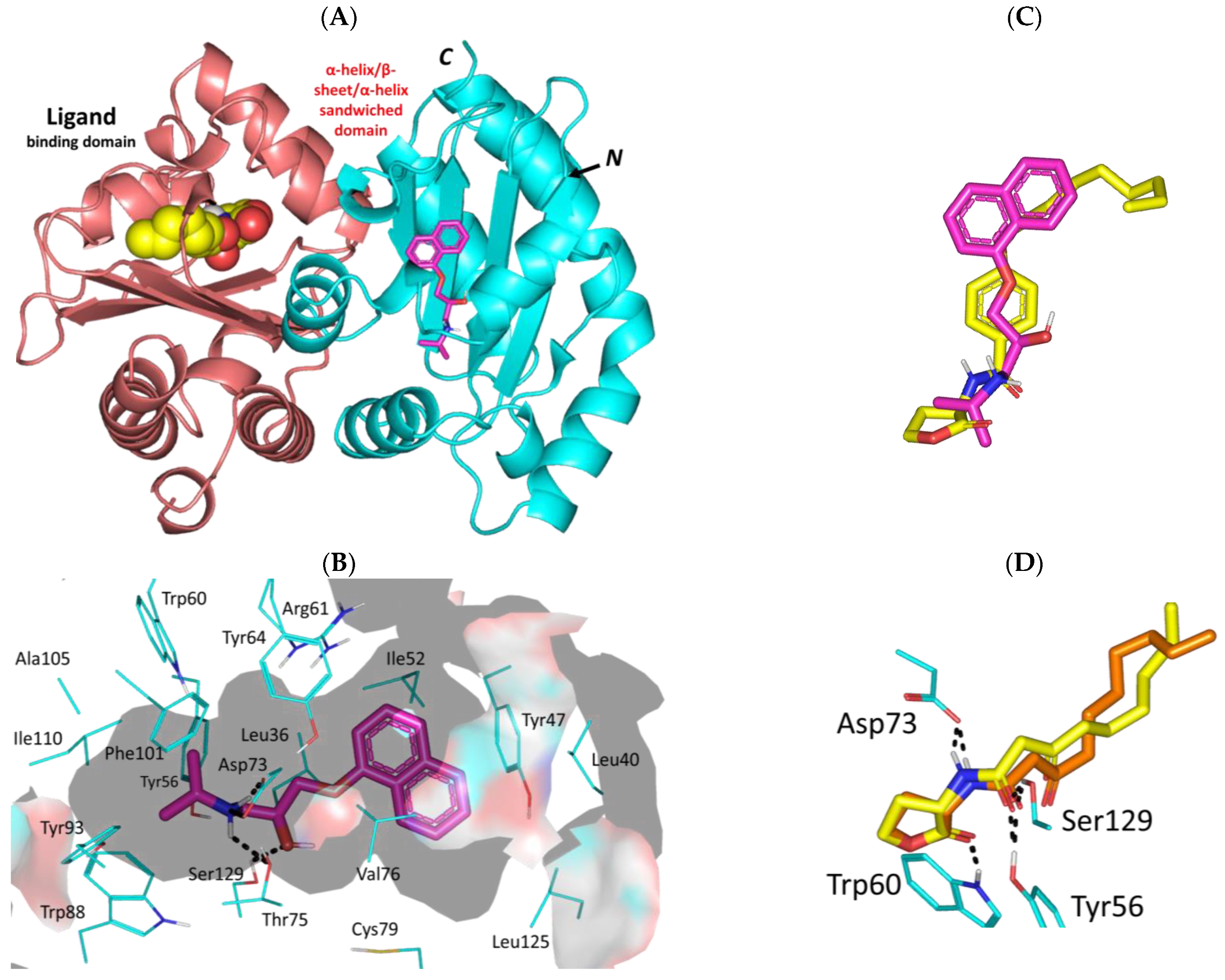 Biomedicines 11 03161 g005