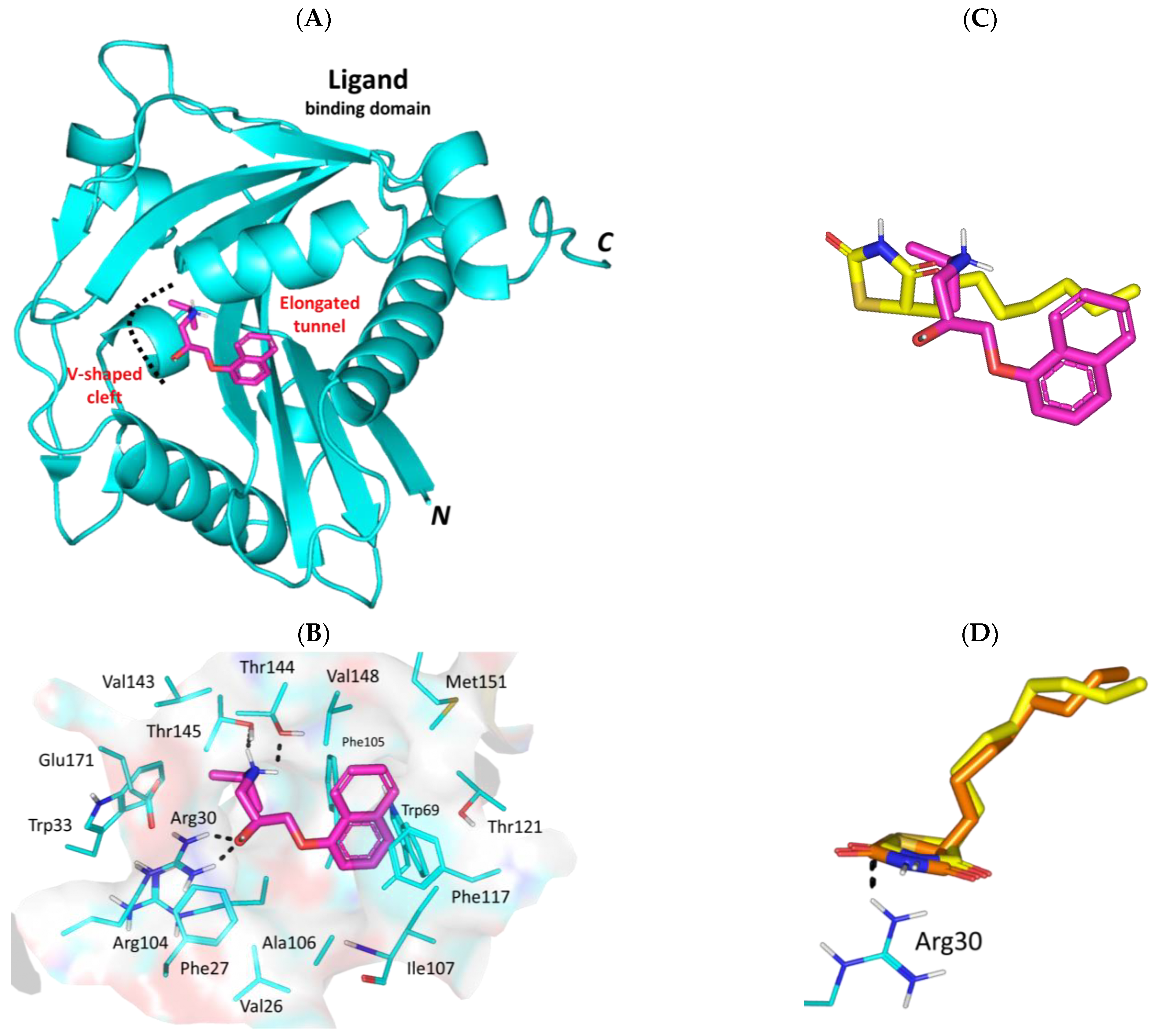 Biomedicines 11 03161 g006
