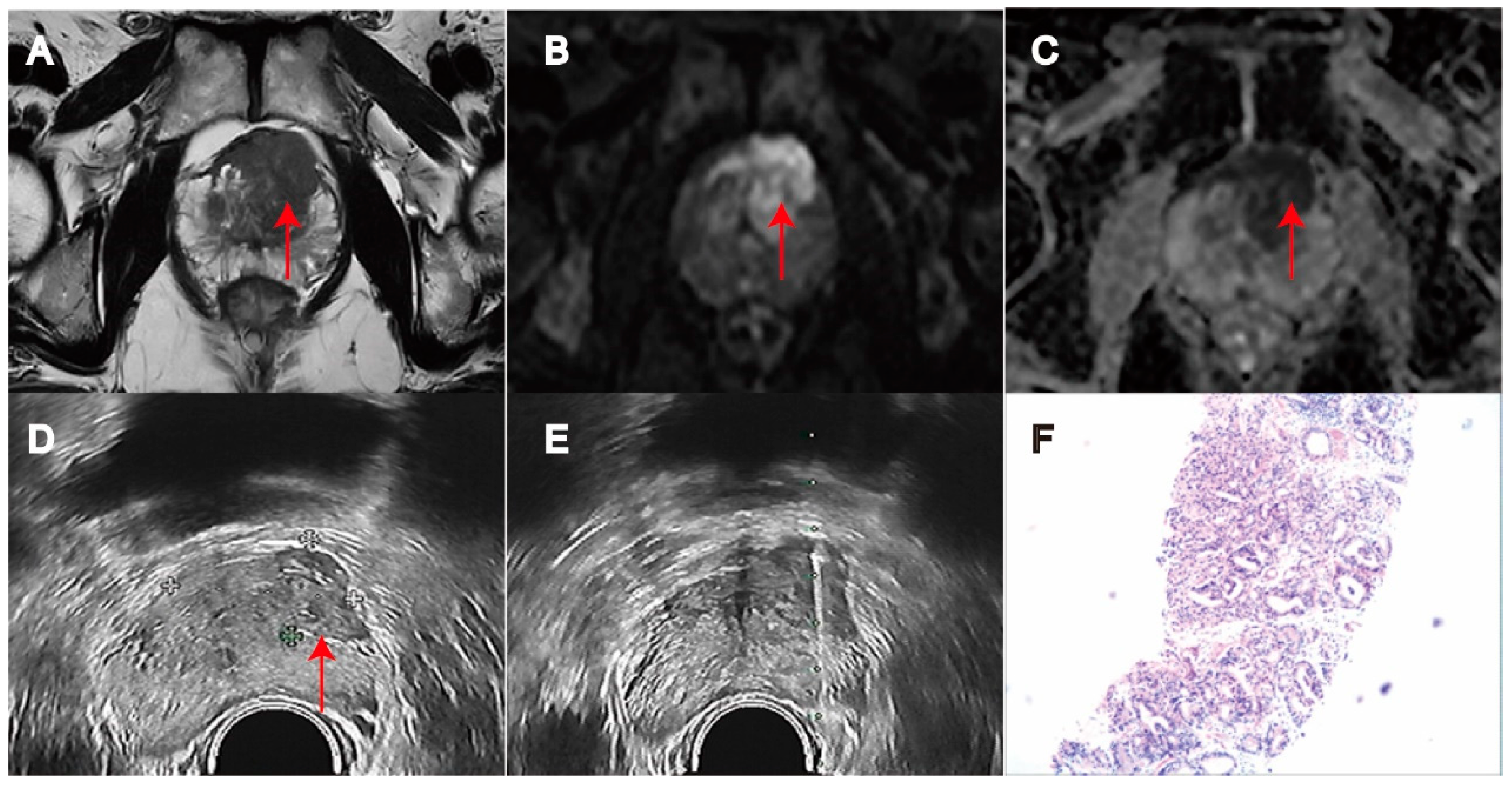 Biomedicines 11 03163 g002