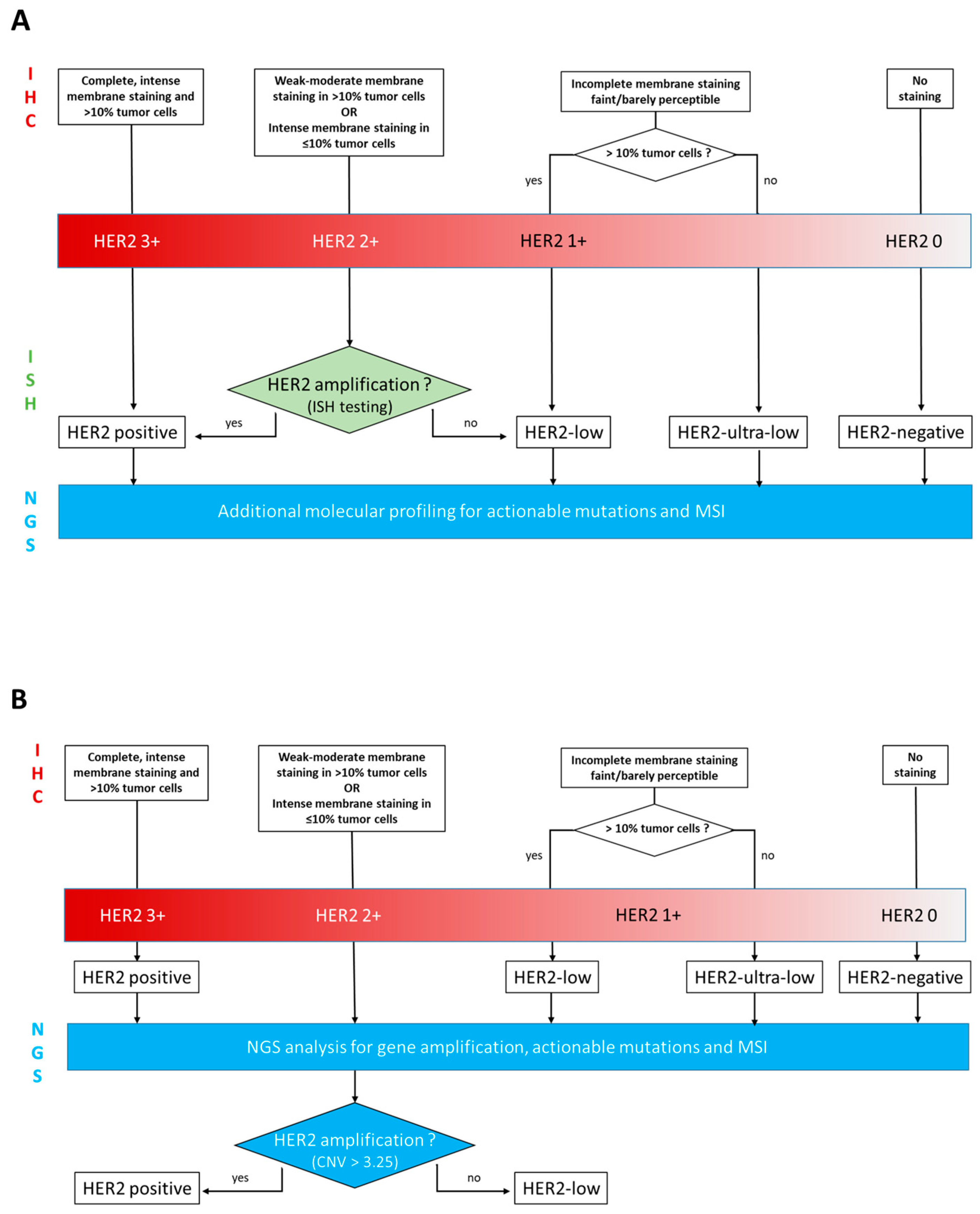 Biomedicines 11 03164 g001