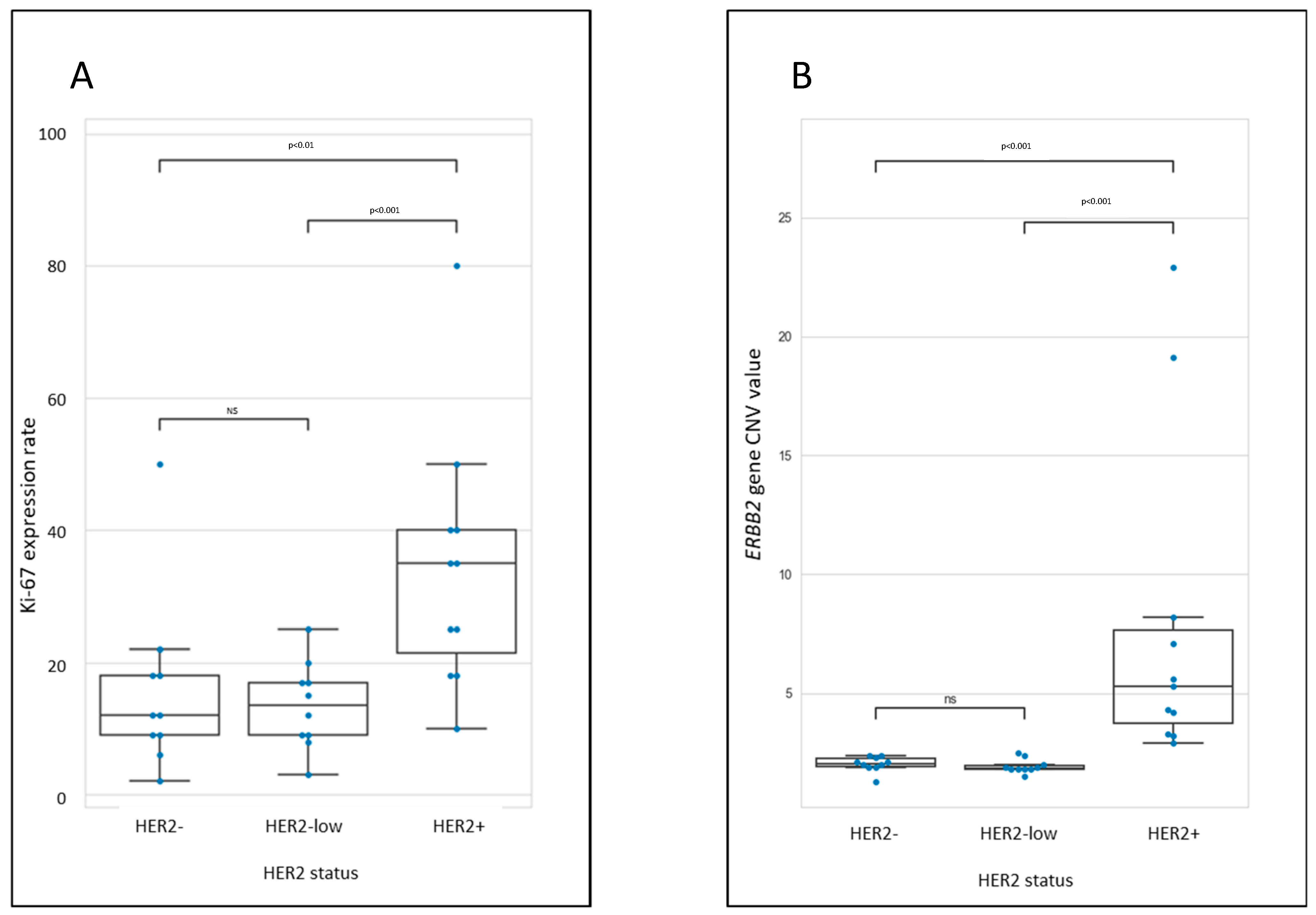 Biomedicines 11 03164 g002