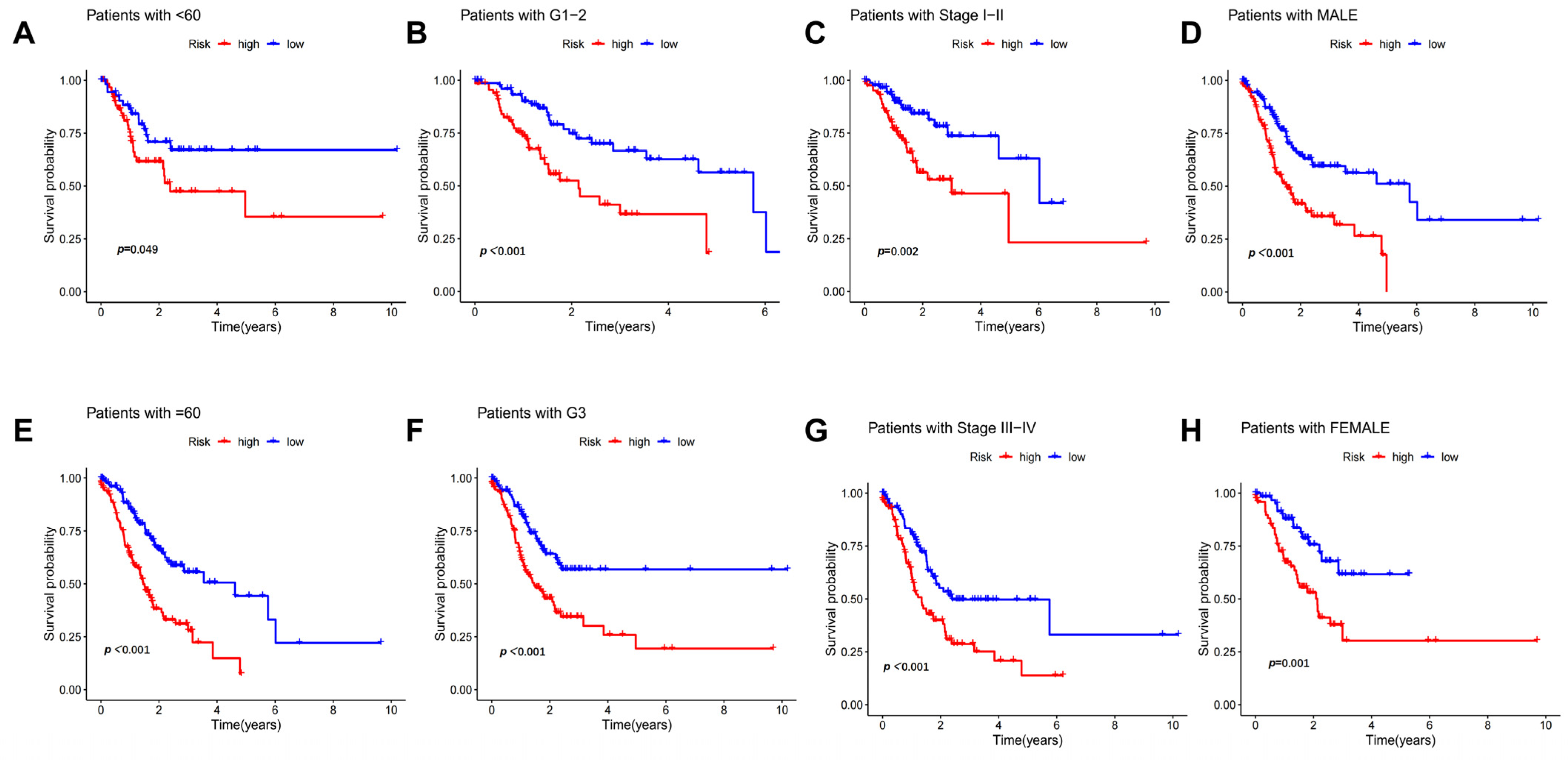 Biomedicines 11 03165 g004