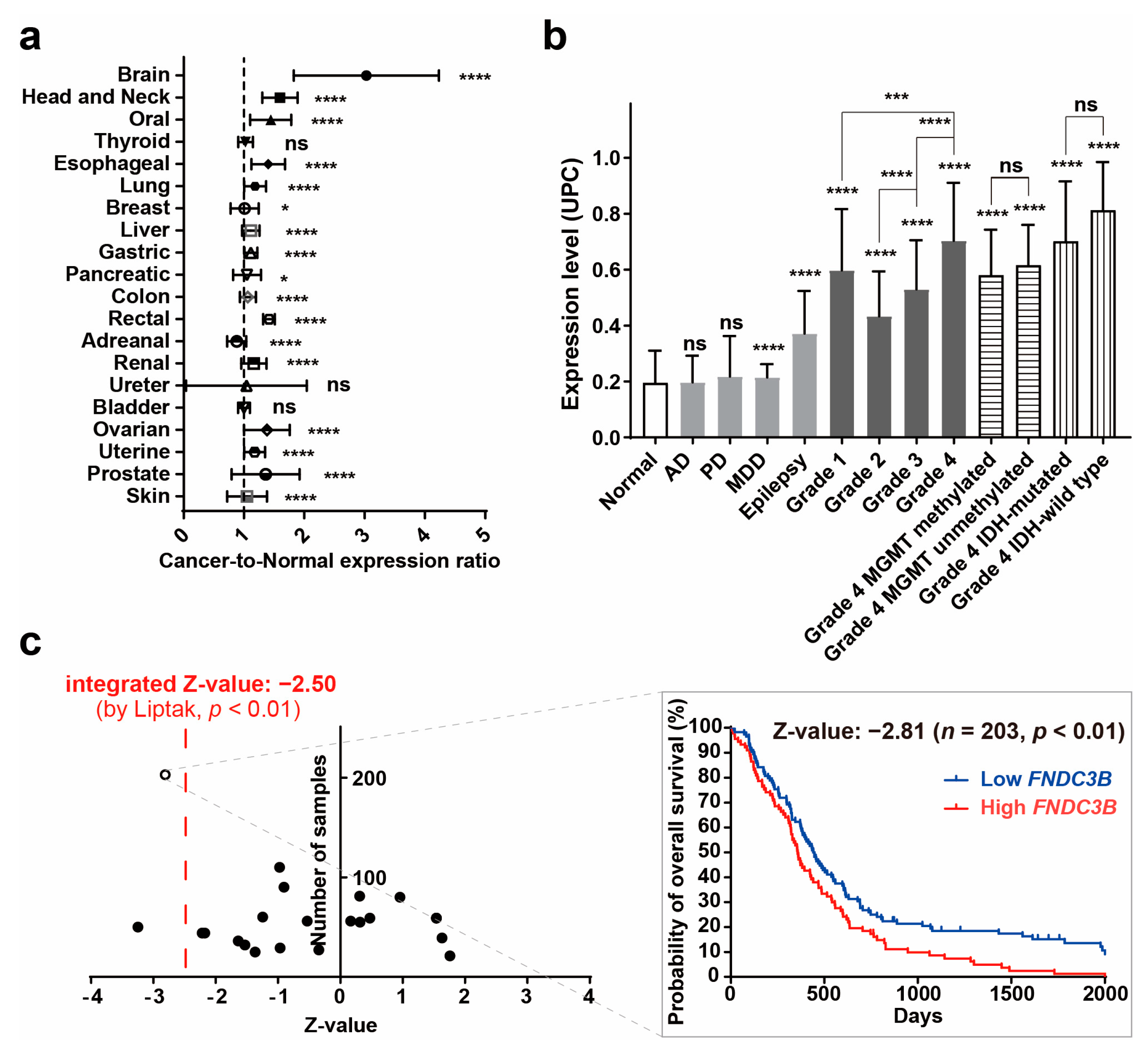 Biomedicines 11 03168 g001 Biomedicines 11 03168 g001