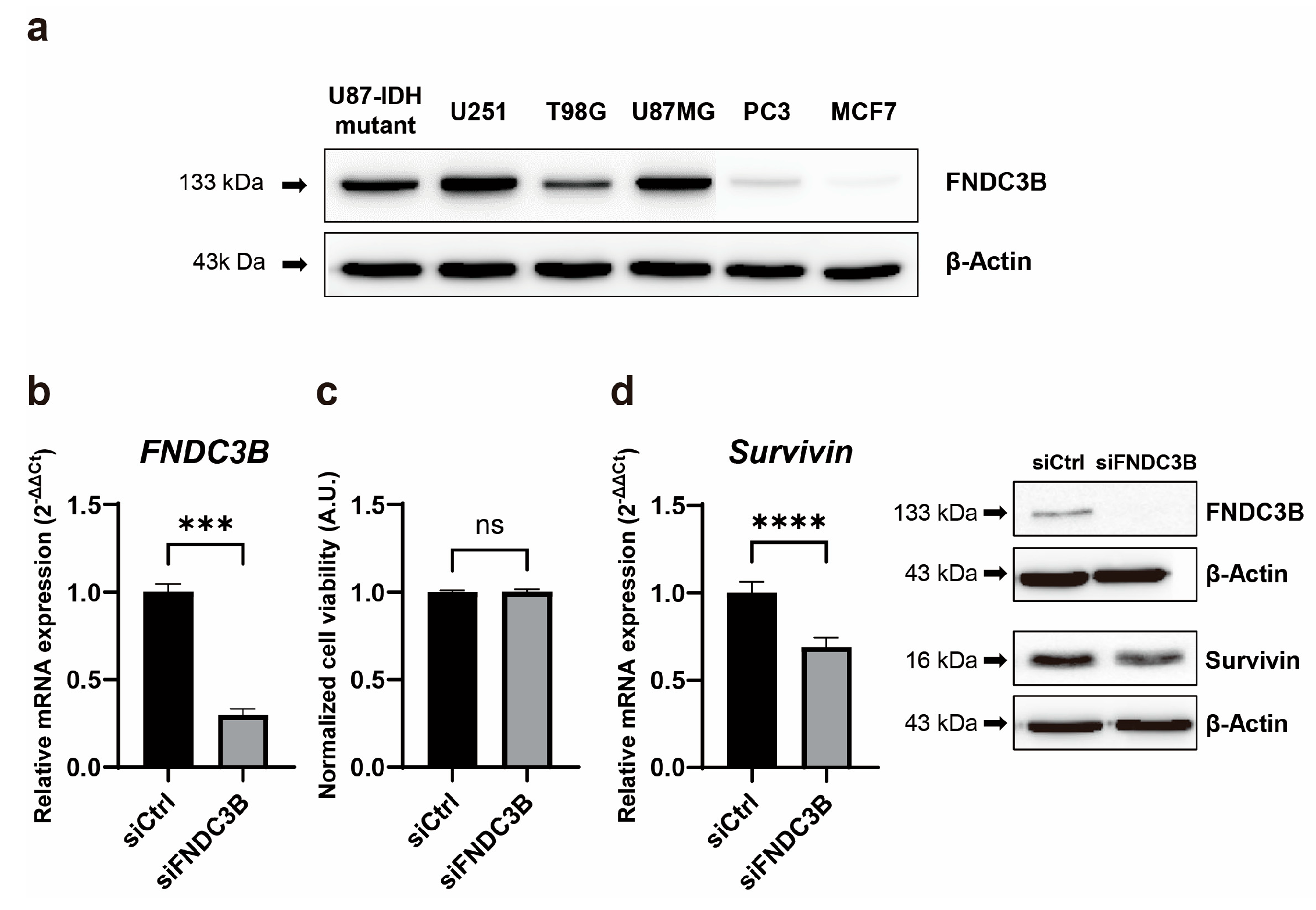 Biomedicines 11 03168 g002 Biomedicines 11 03168 g002