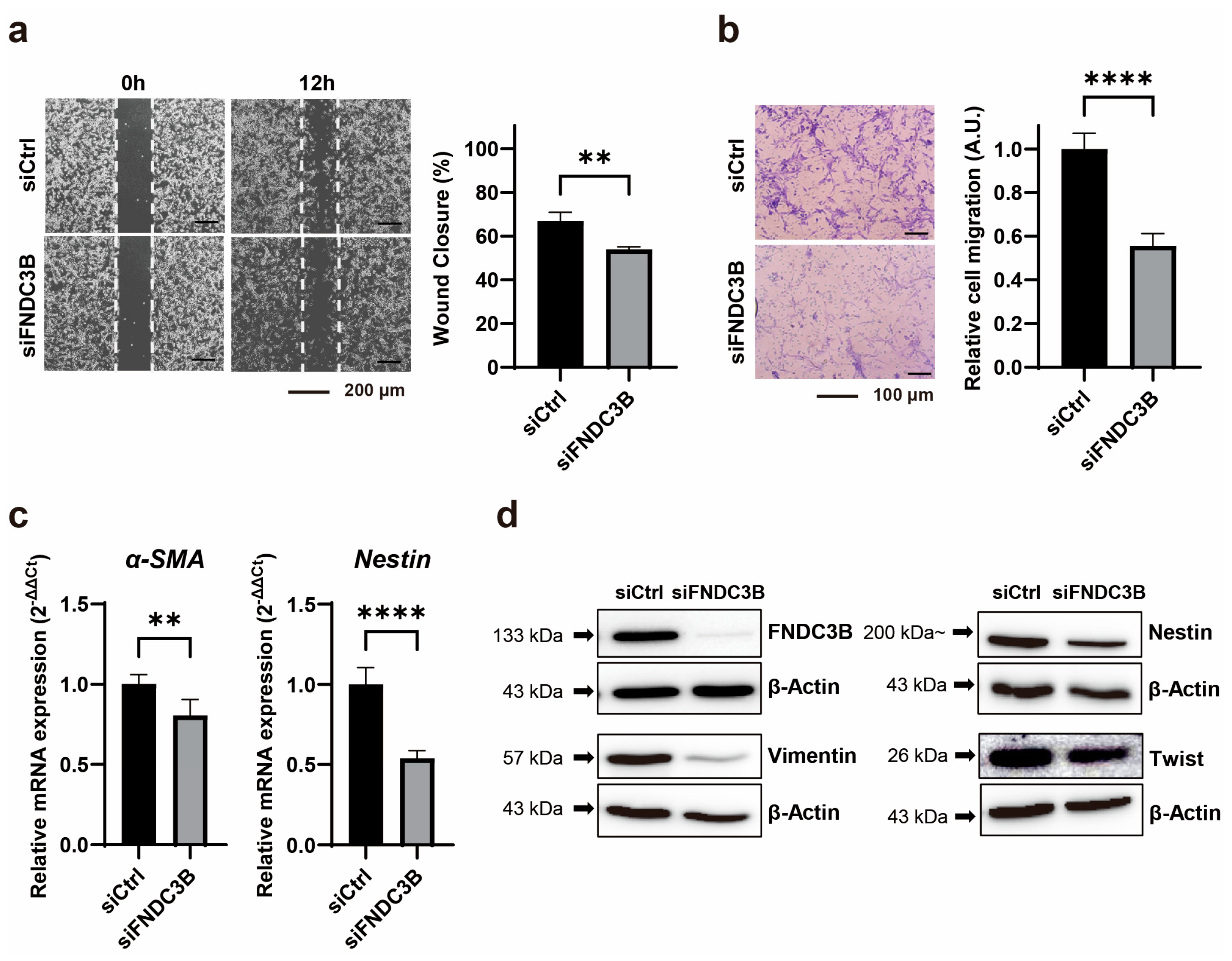 Biomedicines 11 03168 g003 Biomedicines 11 03168 g003