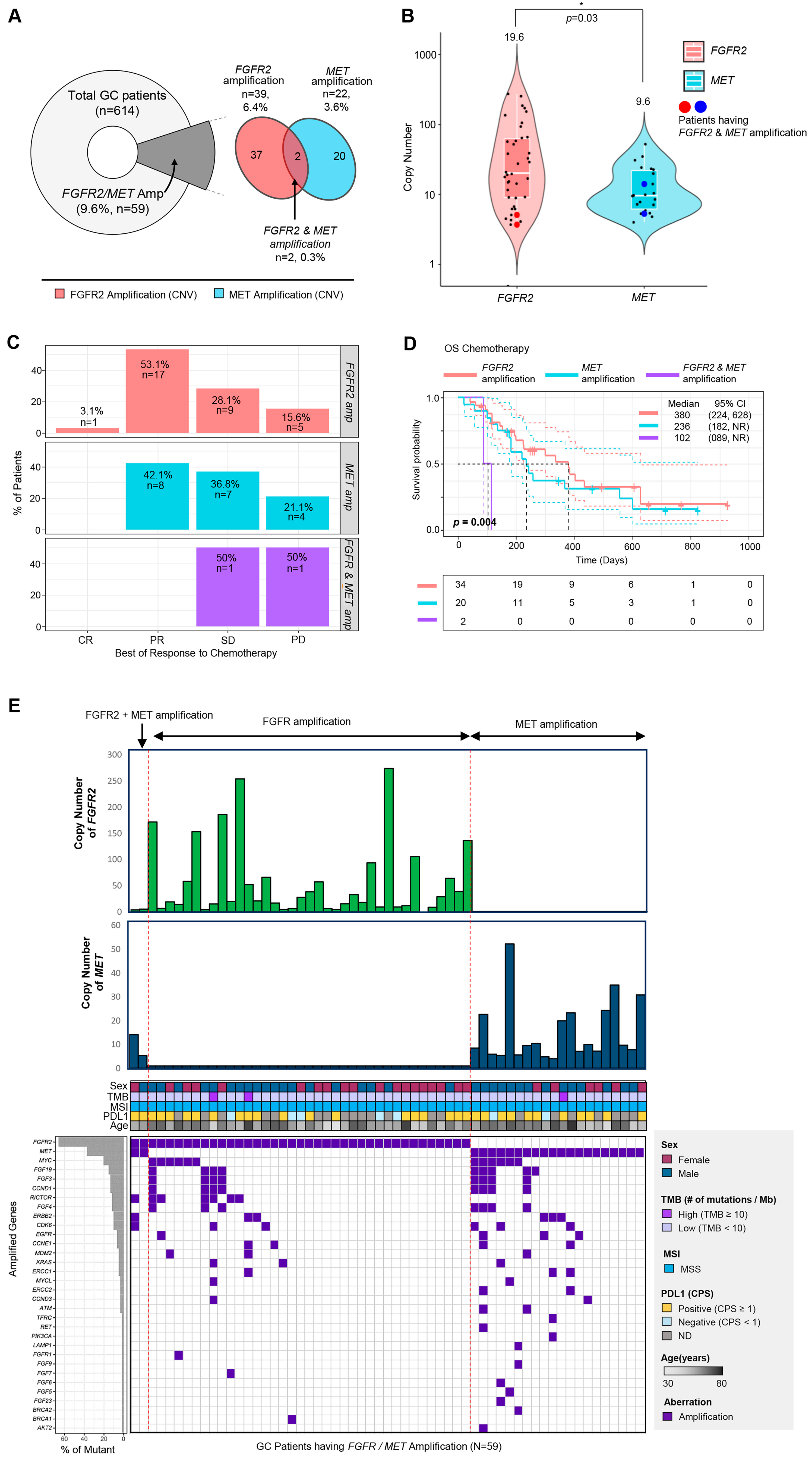 Biomedicines 11 03172 g001