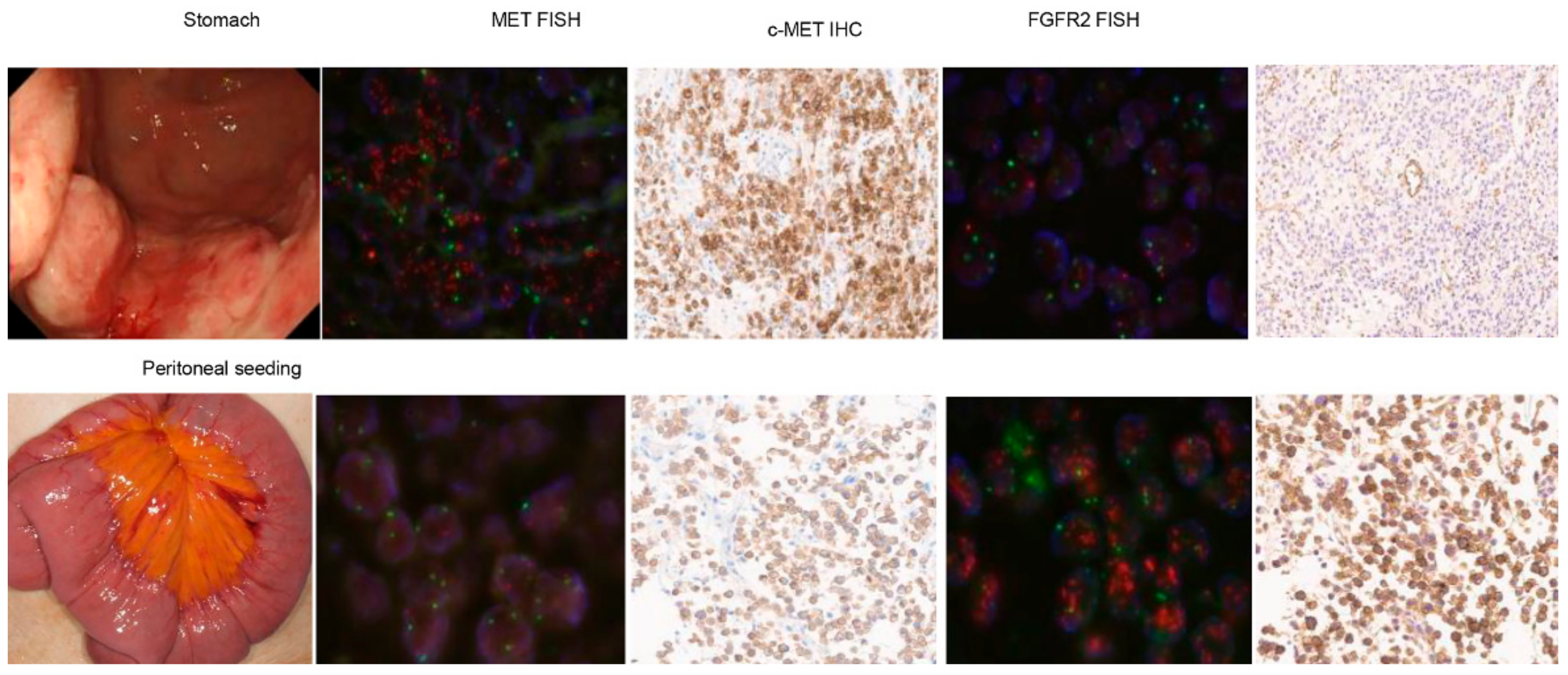 Biomedicines 11 03172 g002