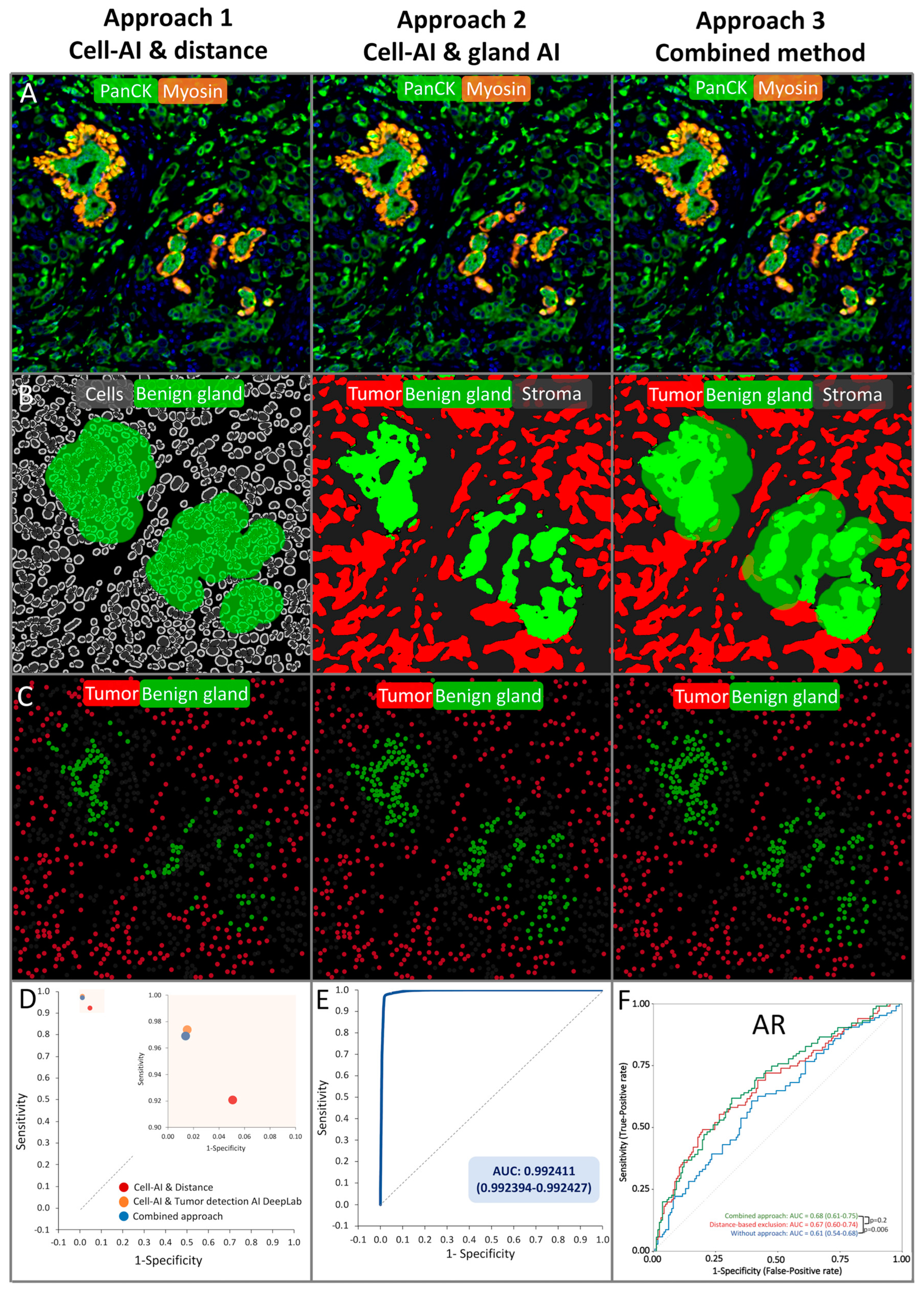 Biomedicines 11 03175 g002