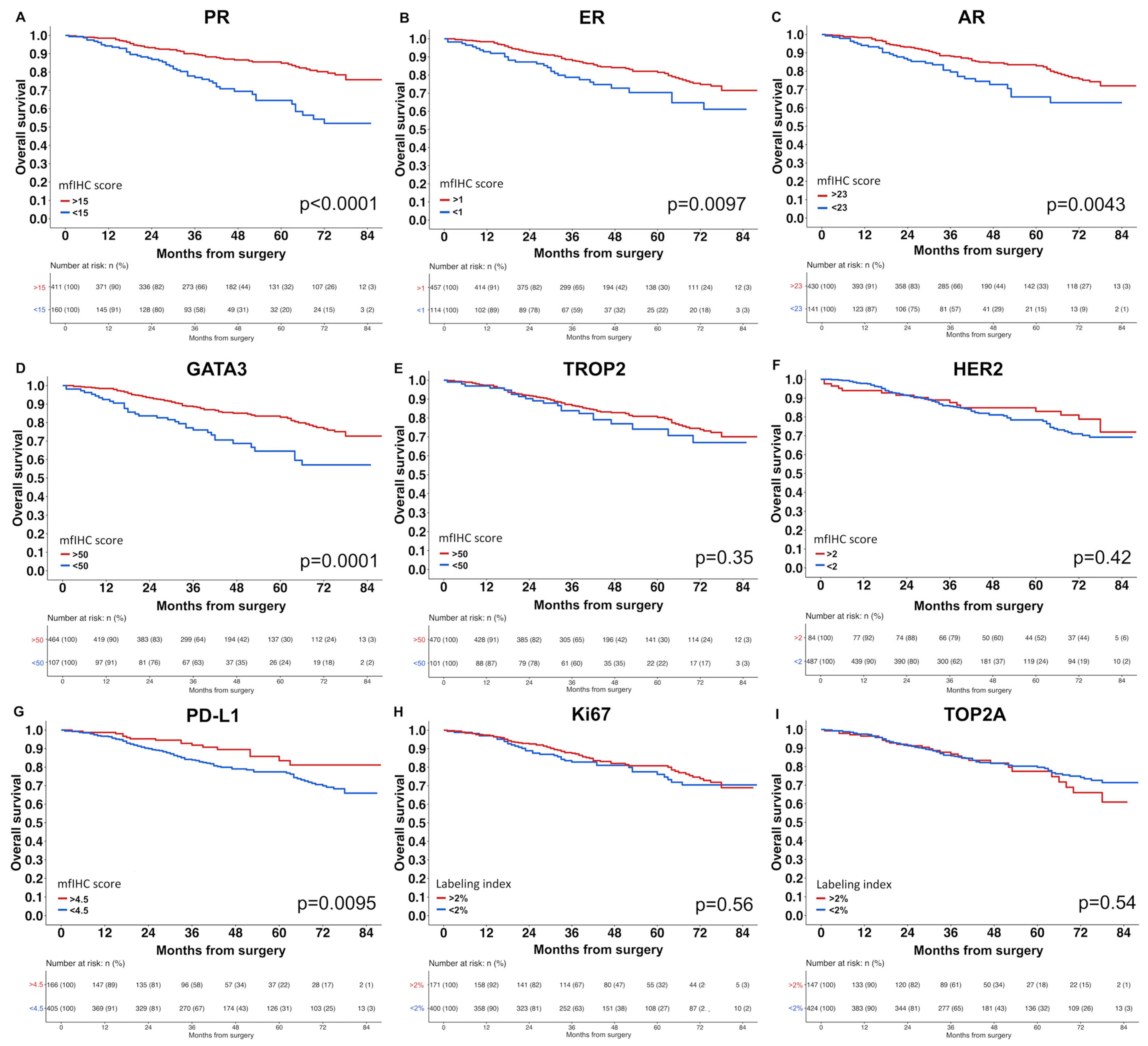 Biomedicines 11 03175 g003