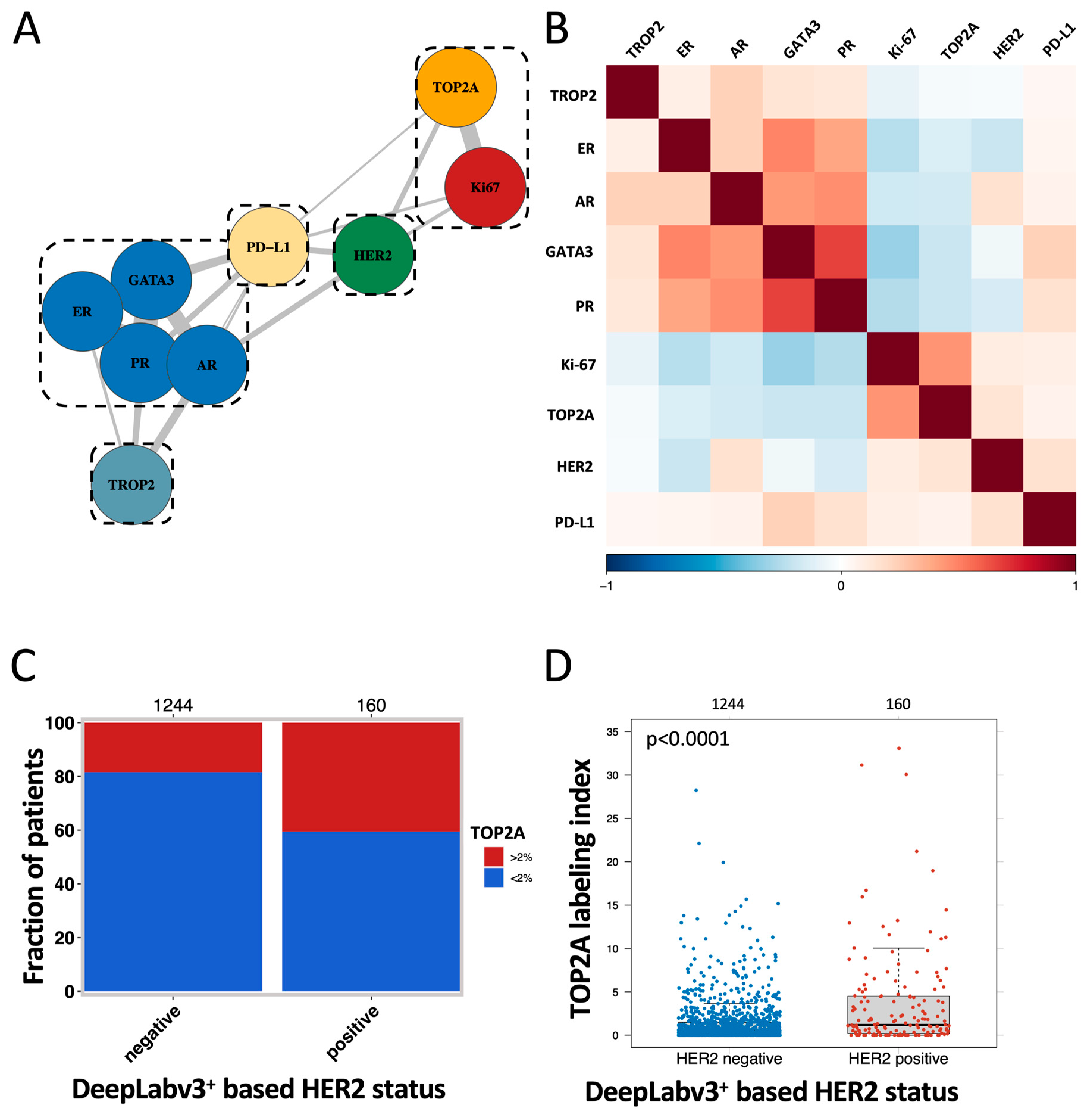 Biomedicines 11 03175 g004