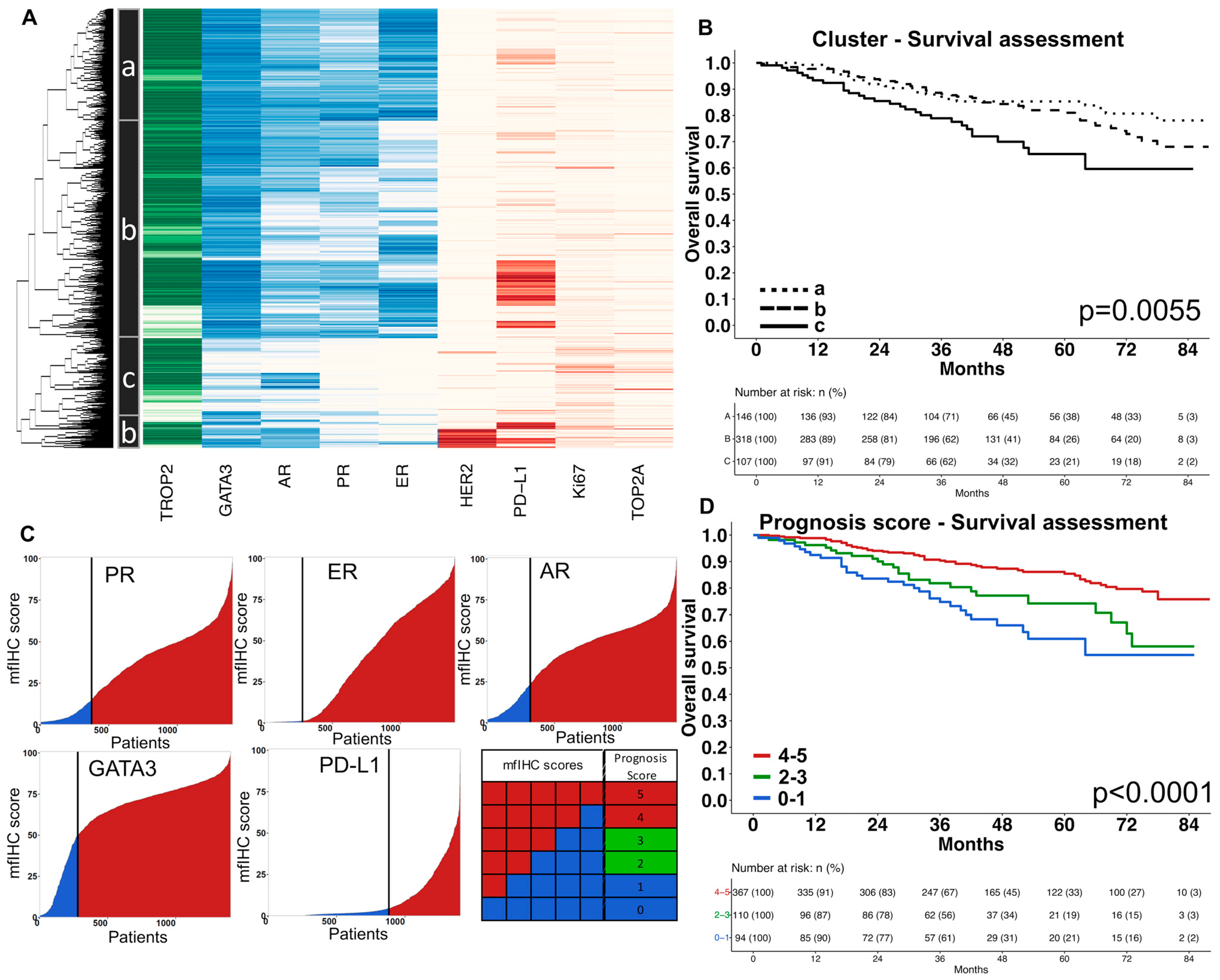 Biomedicines 11 03175 g005