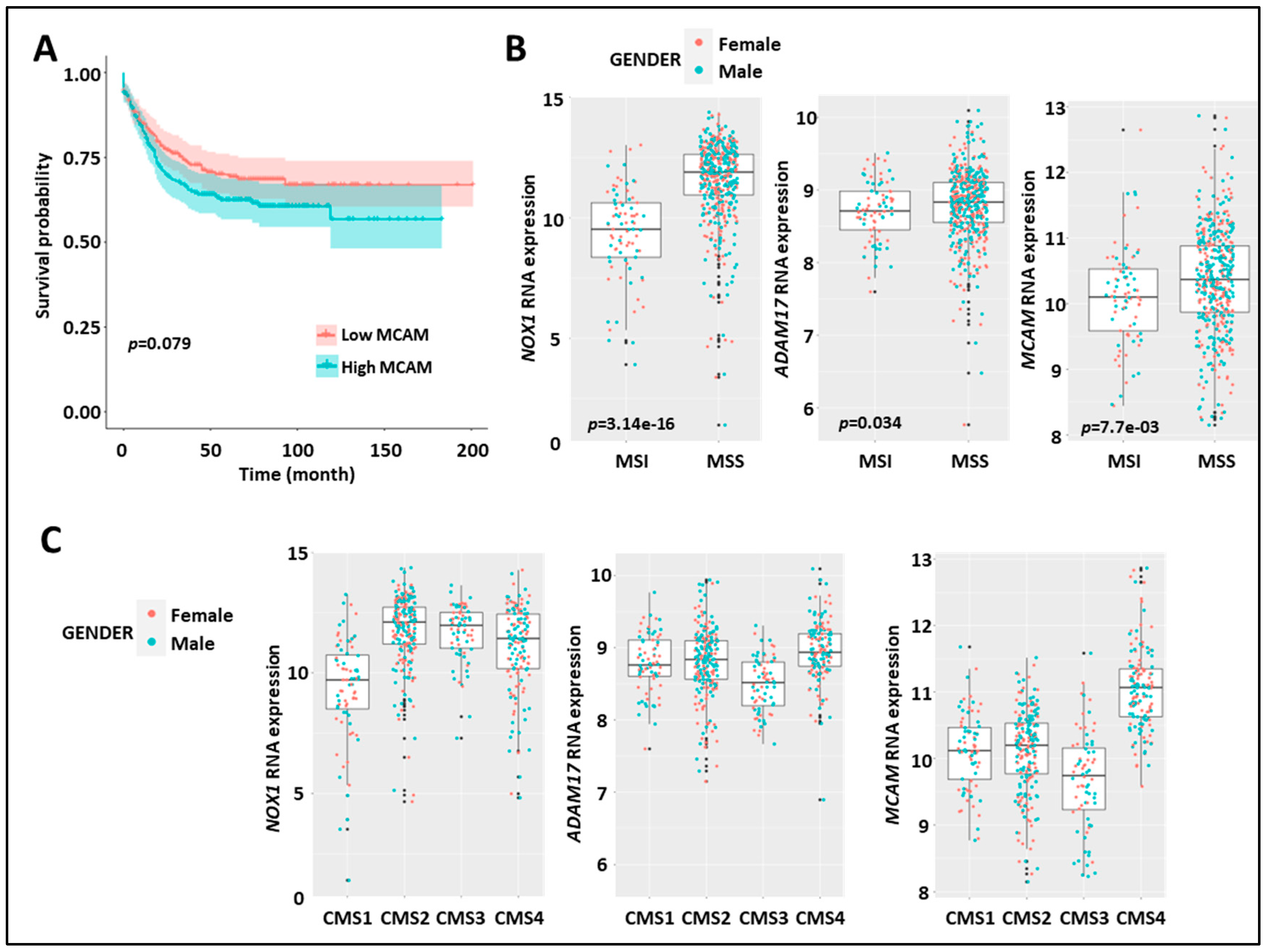 Biomedicines 11 03185 g005