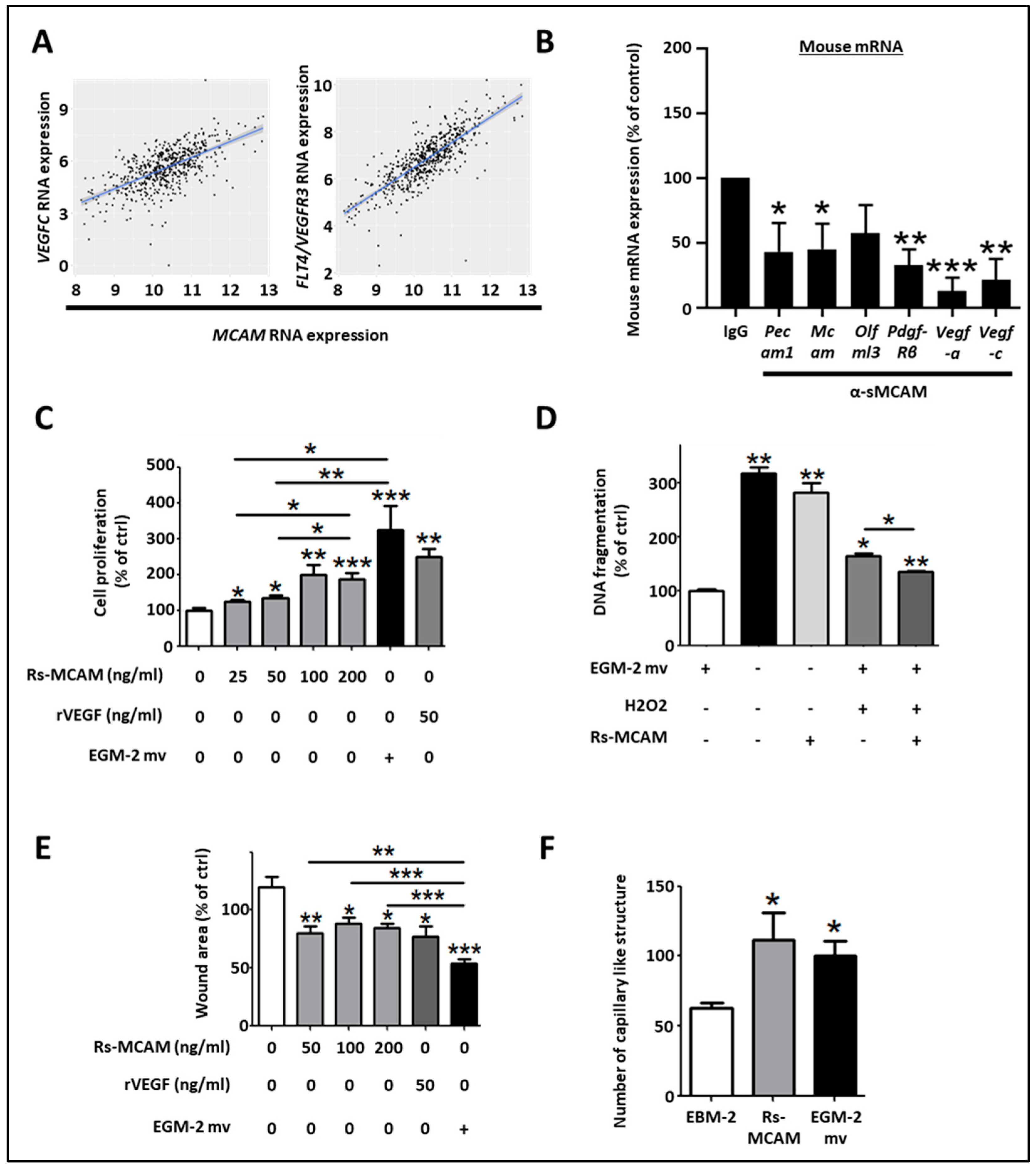 Biomedicines 11 03185 g007