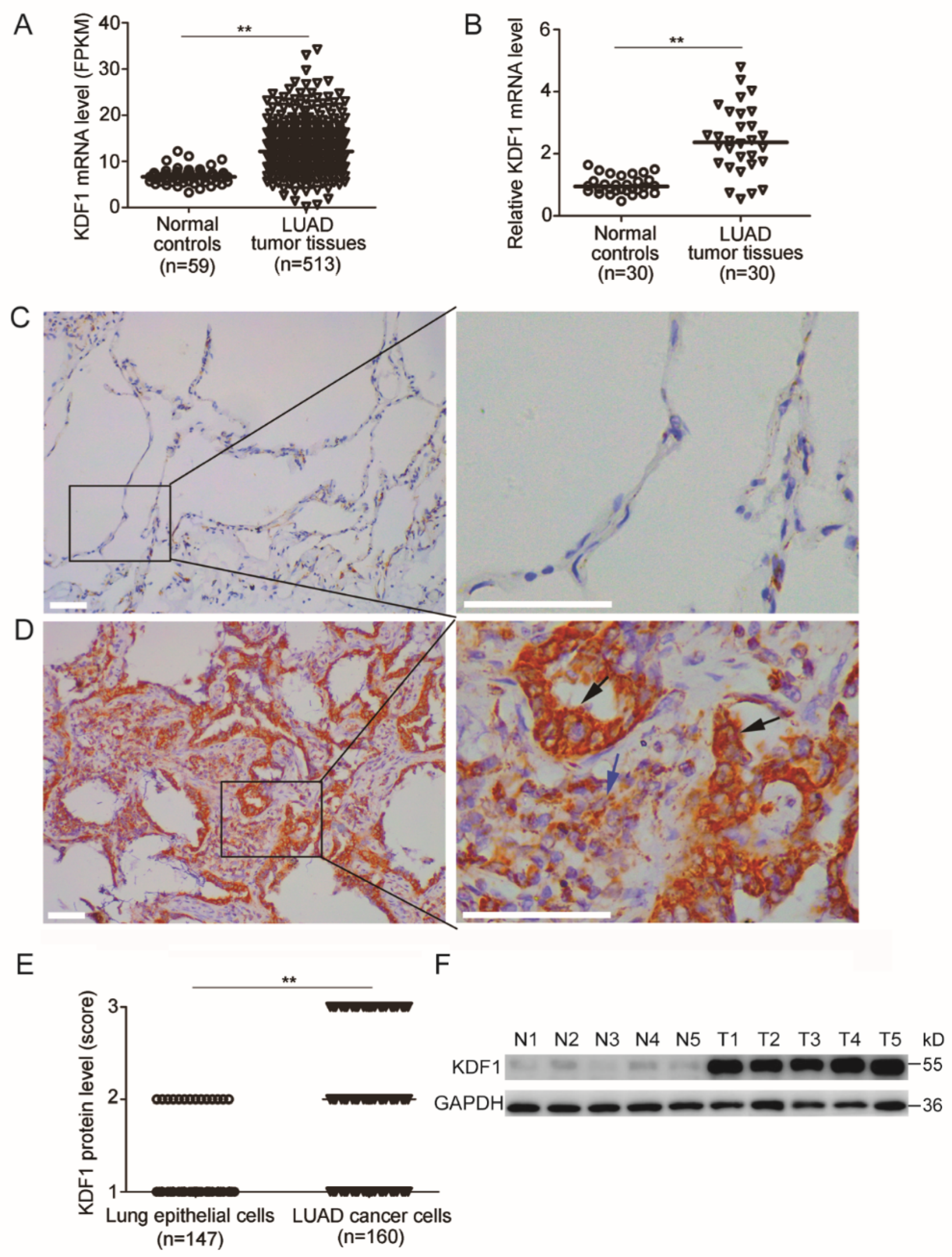 Biomedicines 11 03194 g001