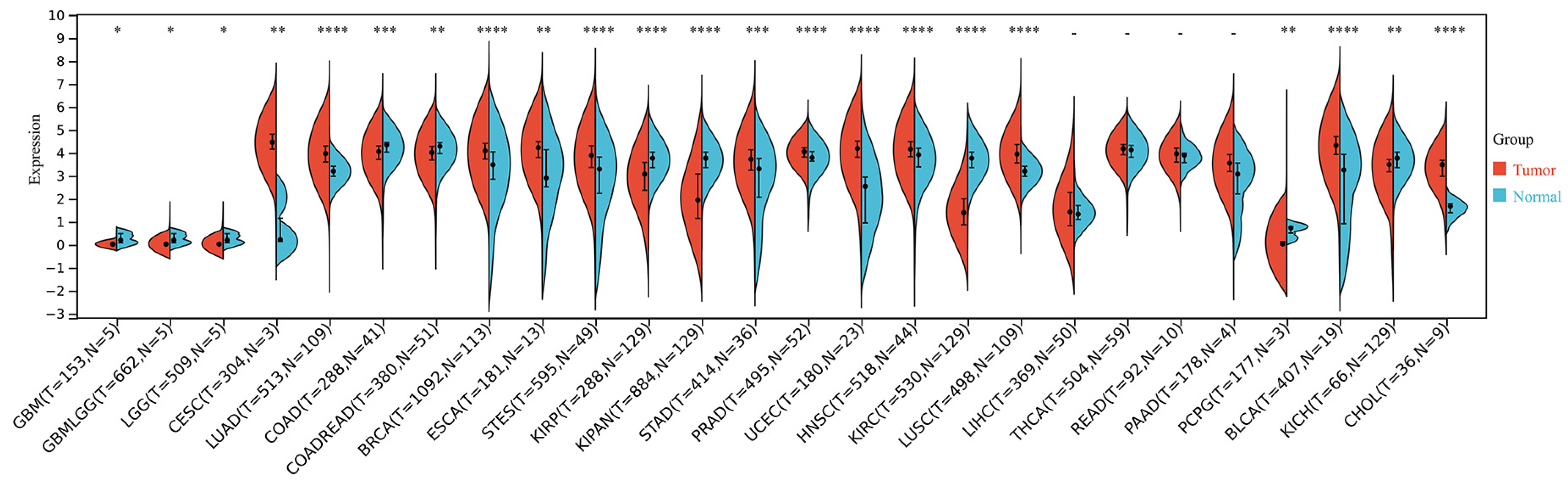 Biomedicines 11 03194 g002