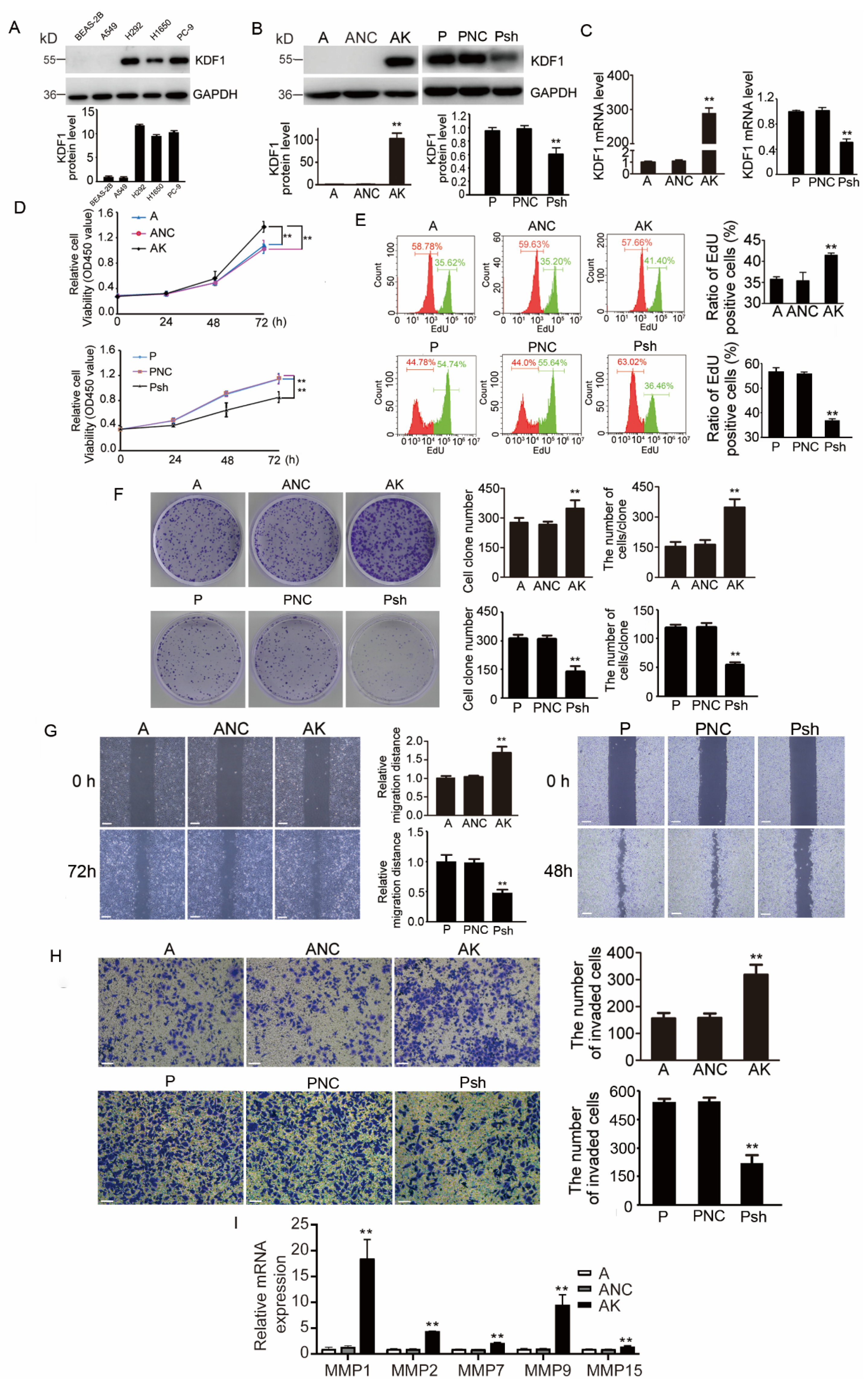 Biomedicines 11 03194 g004