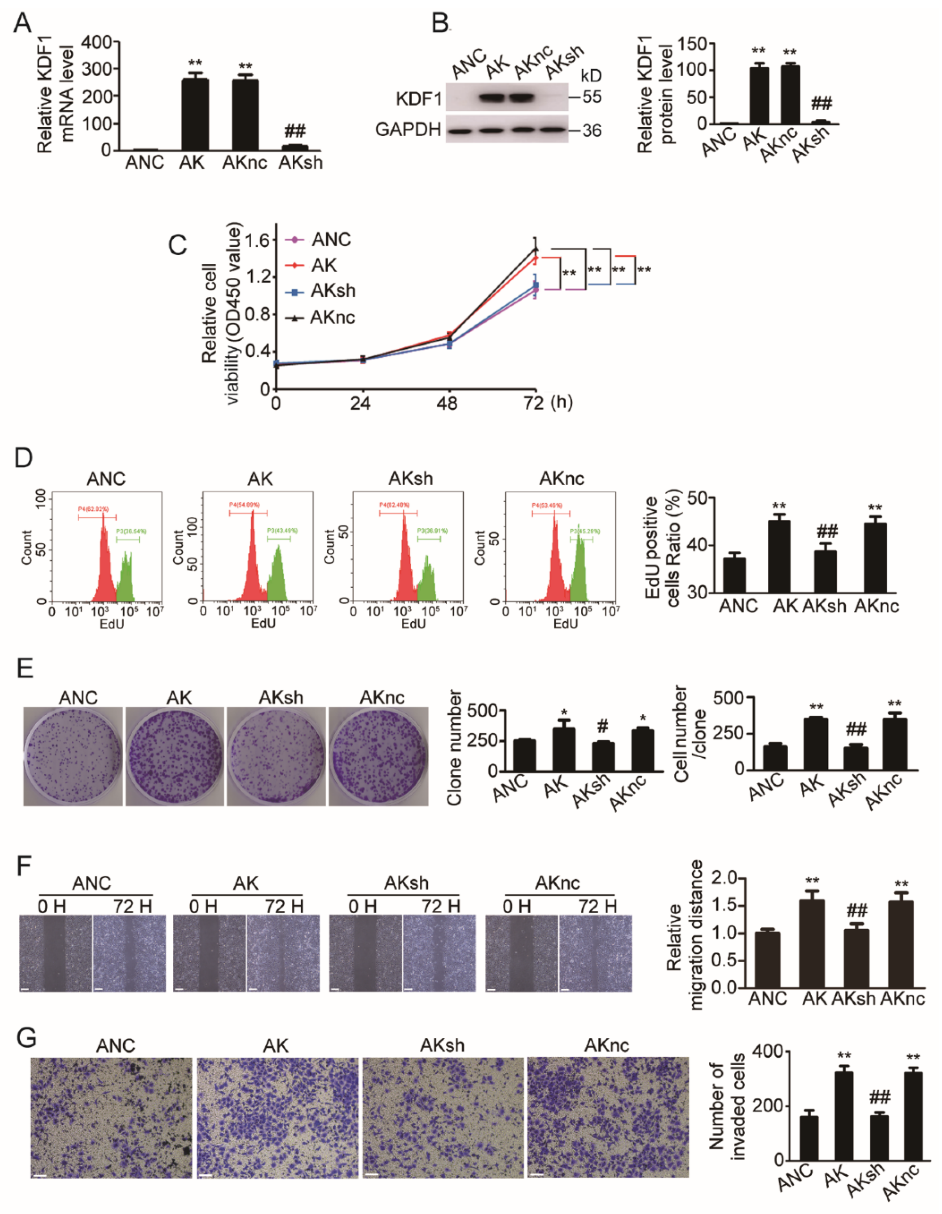 Biomedicines 11 03194 g005