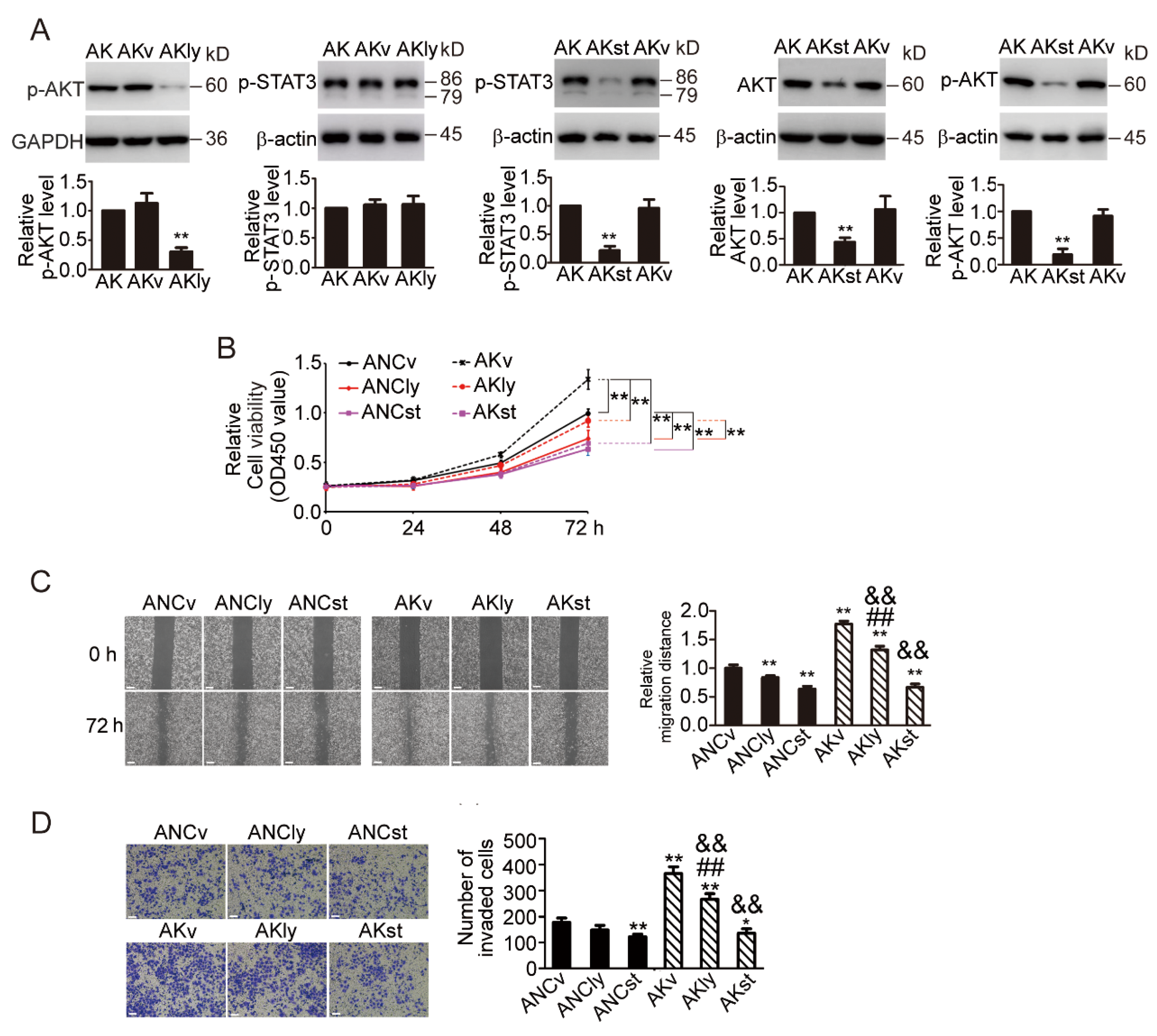 Biomedicines 11 03194 g007