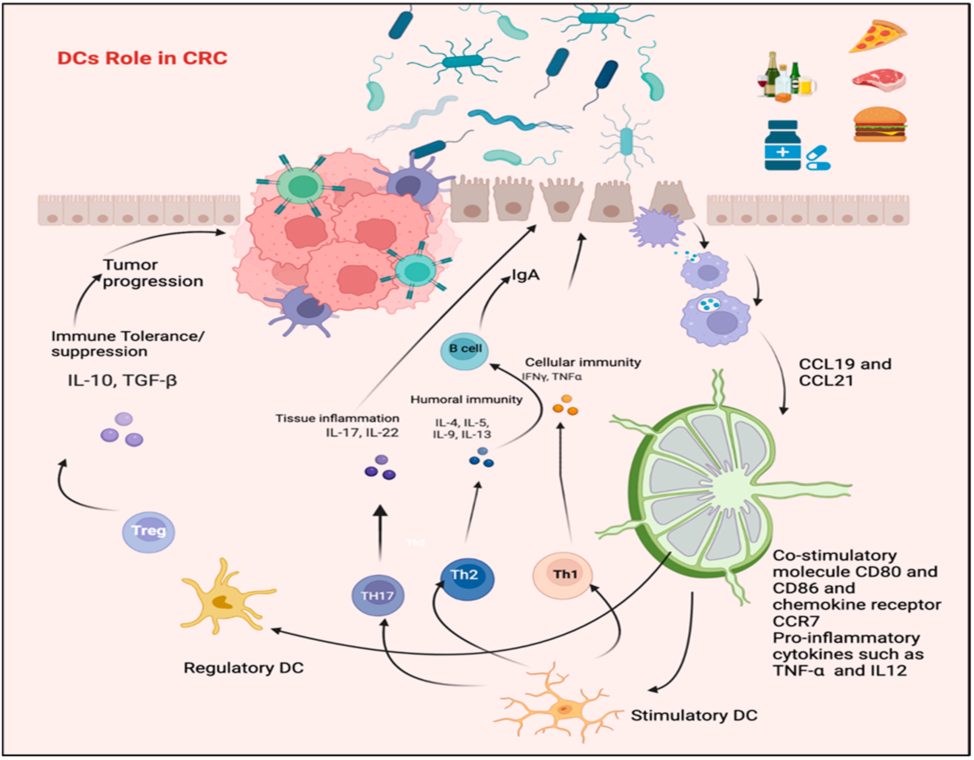 Biomedicines 11 03196 g003