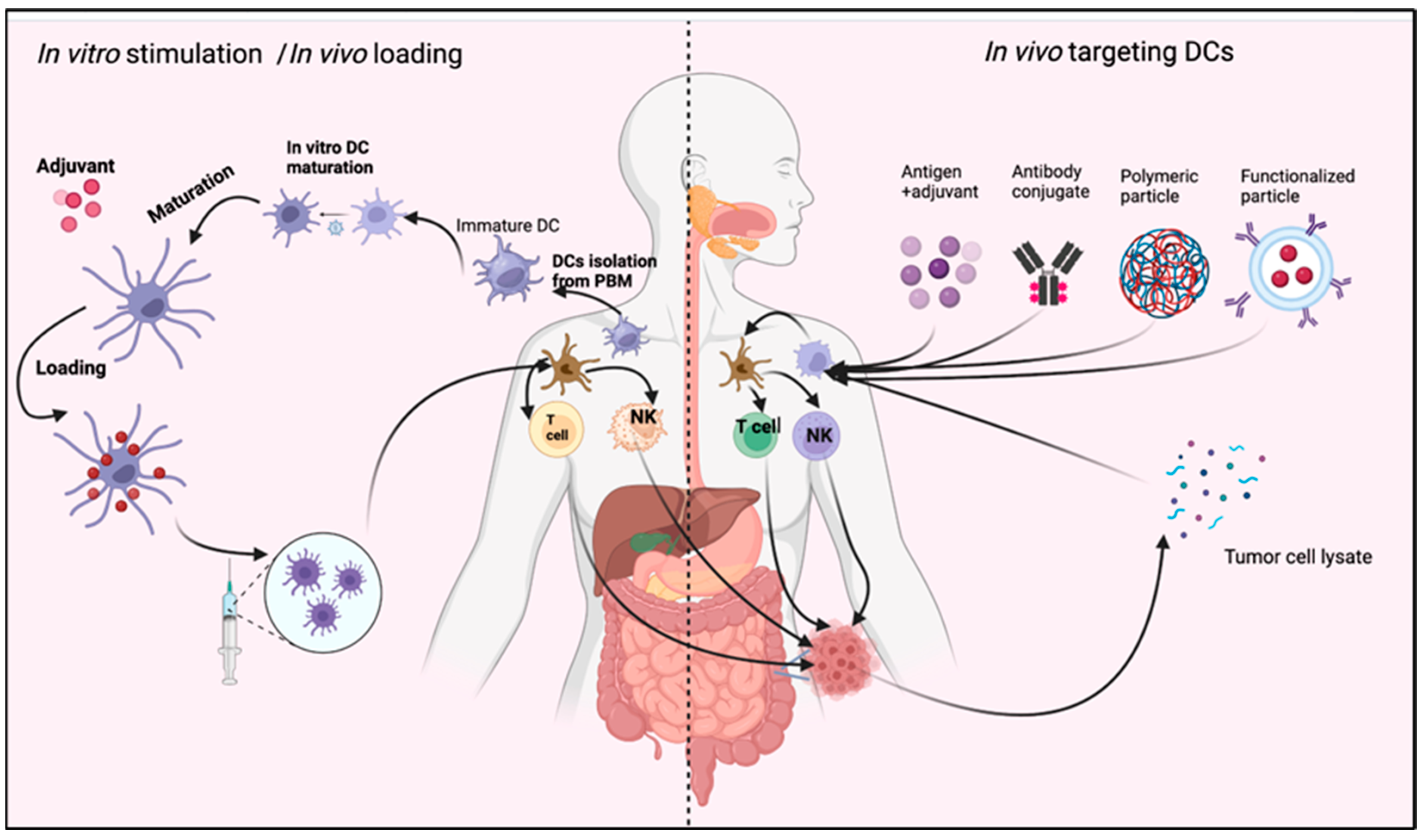 Biomedicines 11 03196 g004