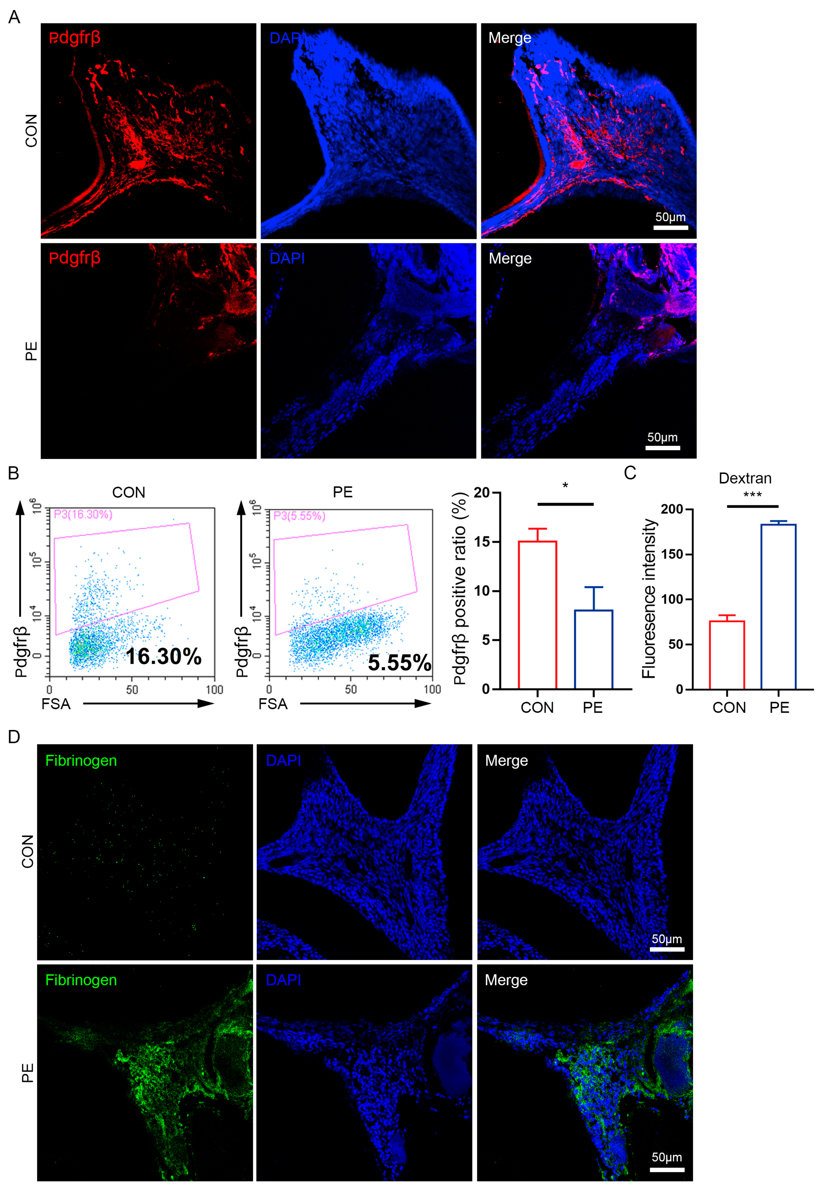 Biomedicines 11 03199 g004