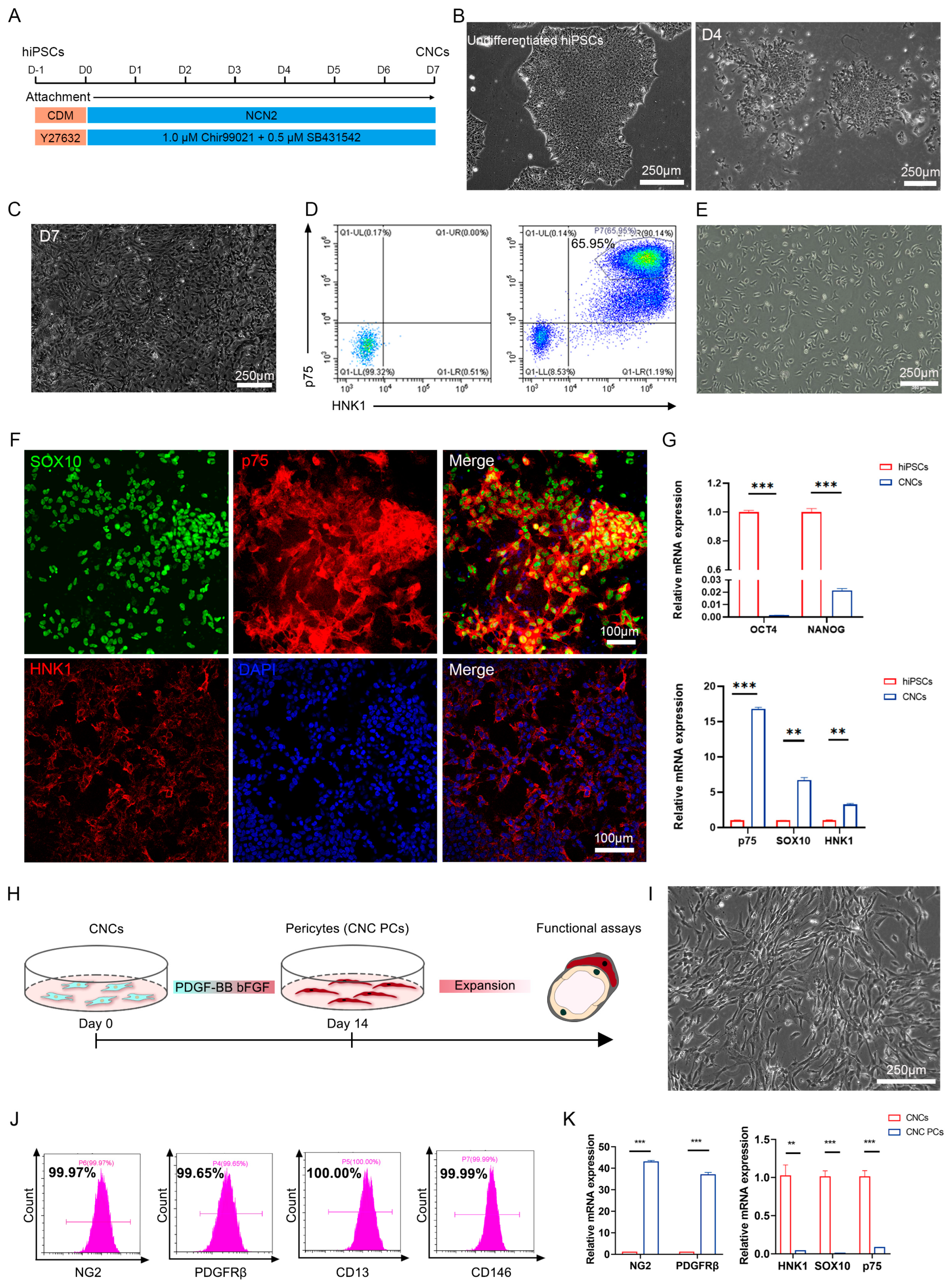 Biomedicines 11 03199 g005