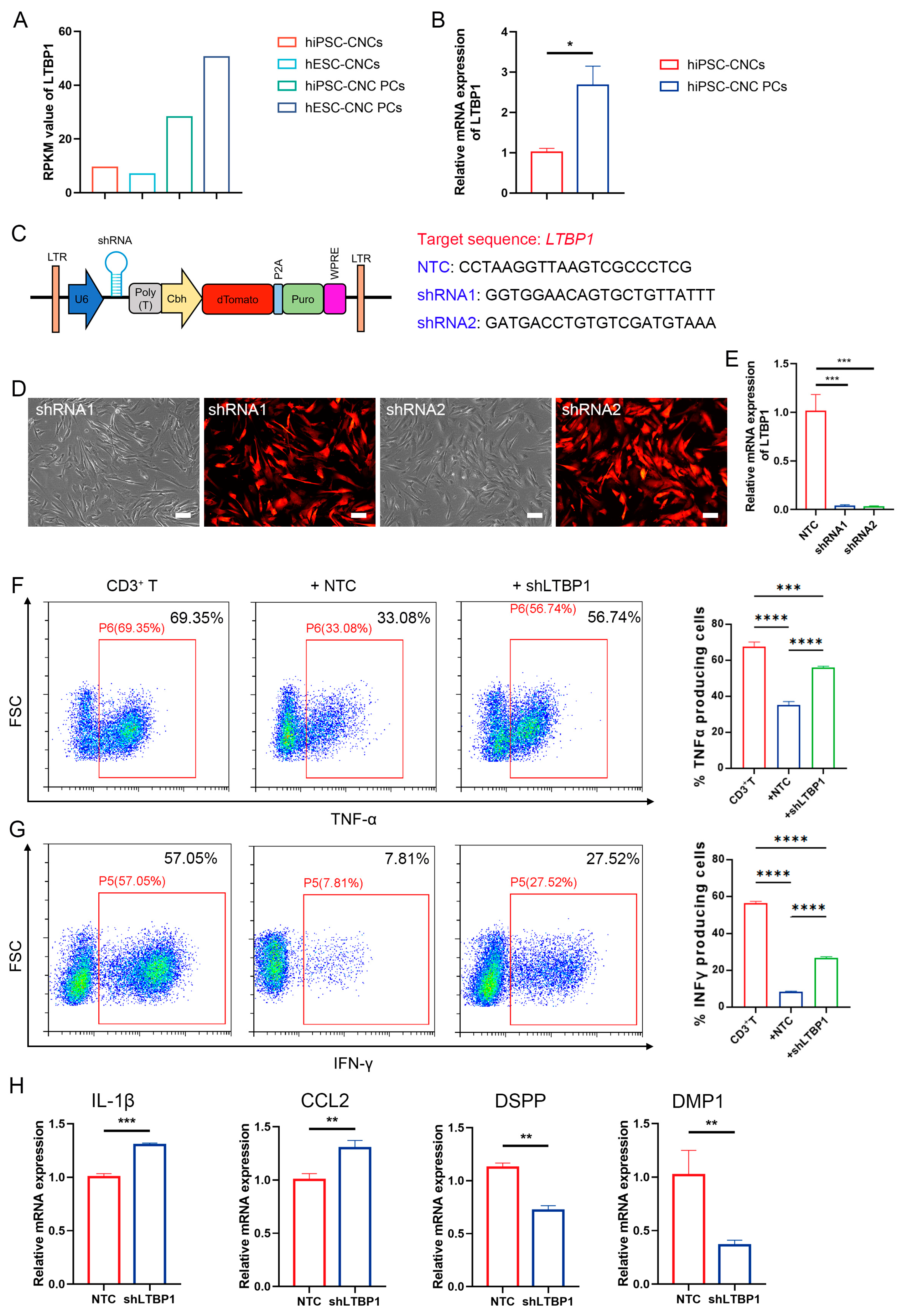 Biomedicines 11 03199 g008