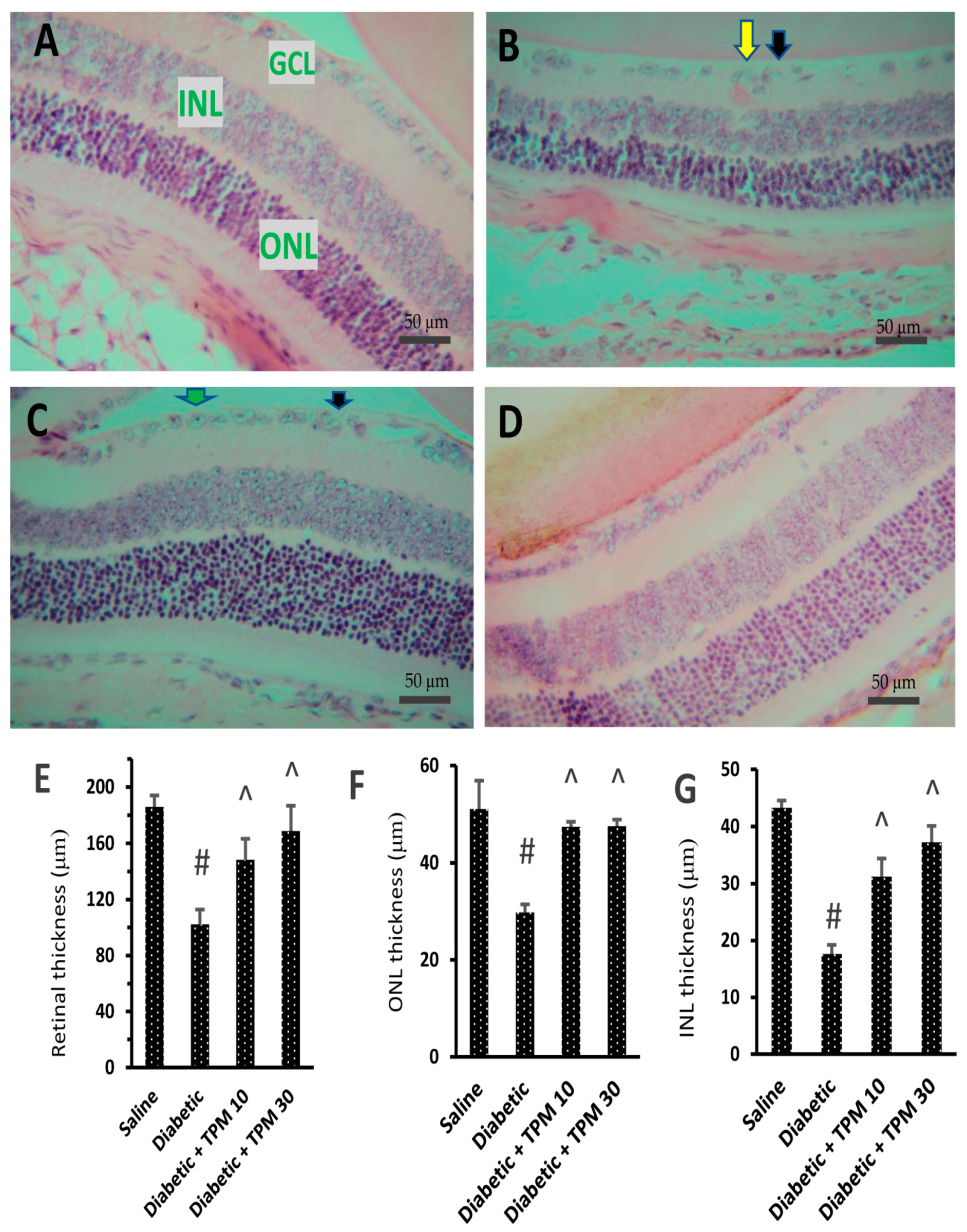 Biomedicines 11 03202 g006