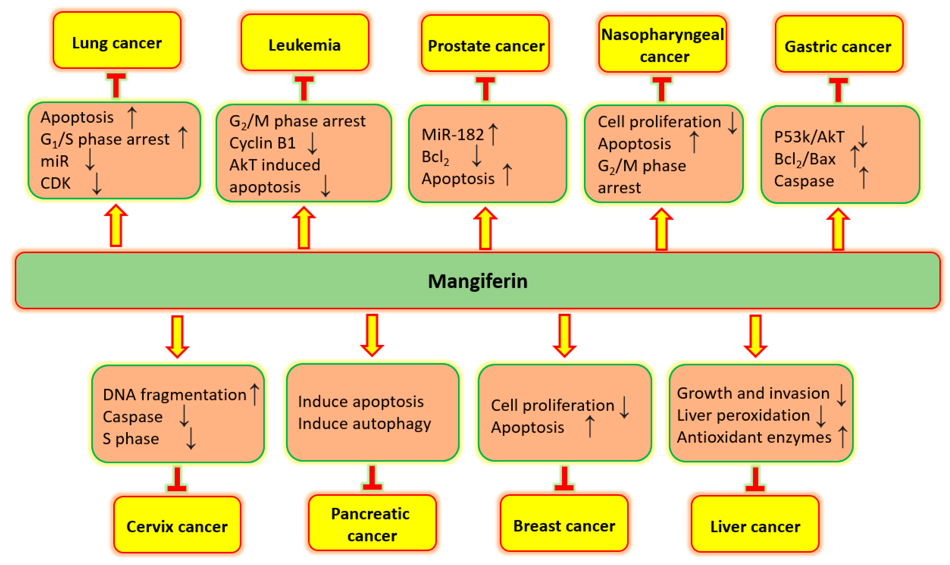 Biomedicines 11 03205 g004