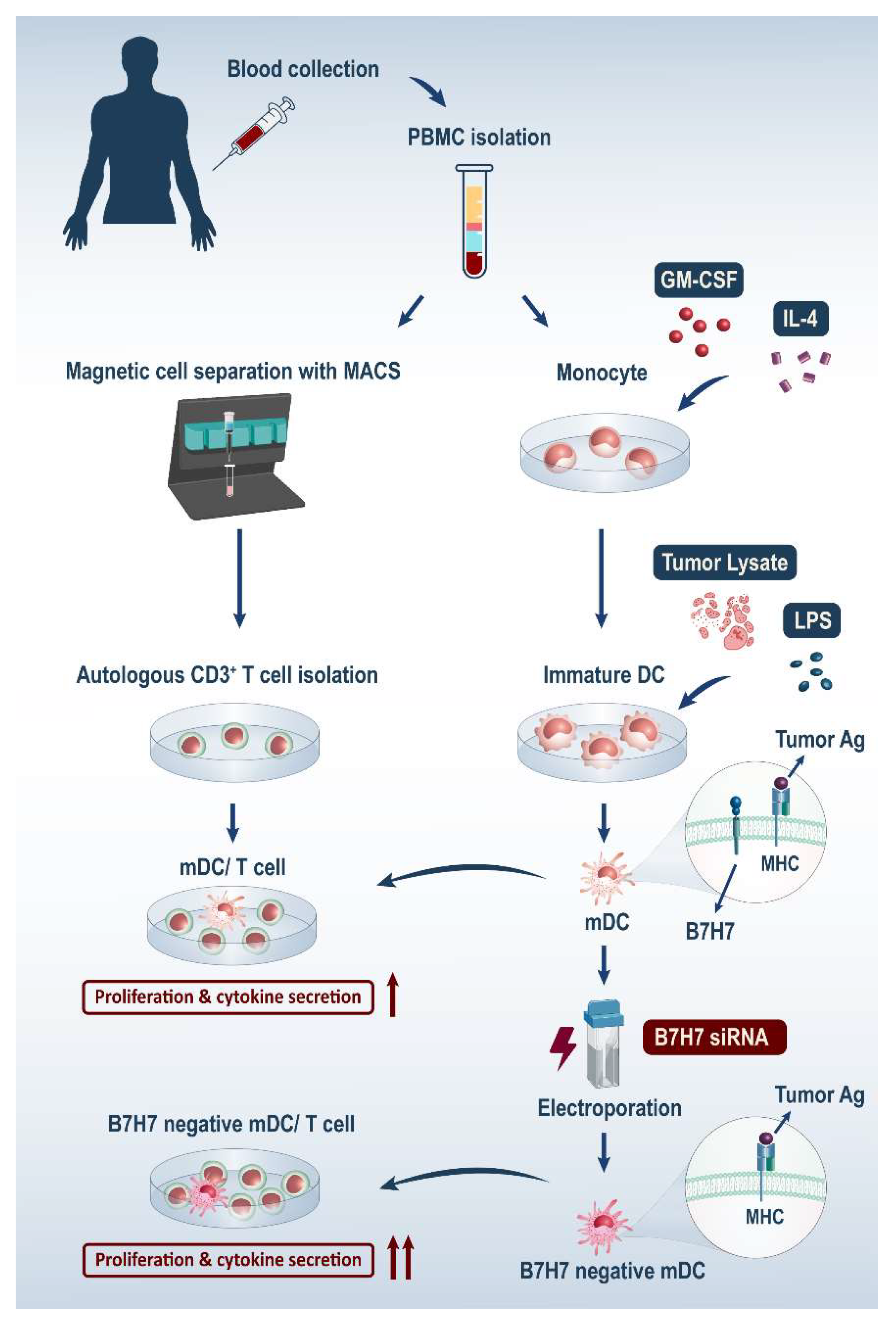 Biomedicines 11 03212 g006