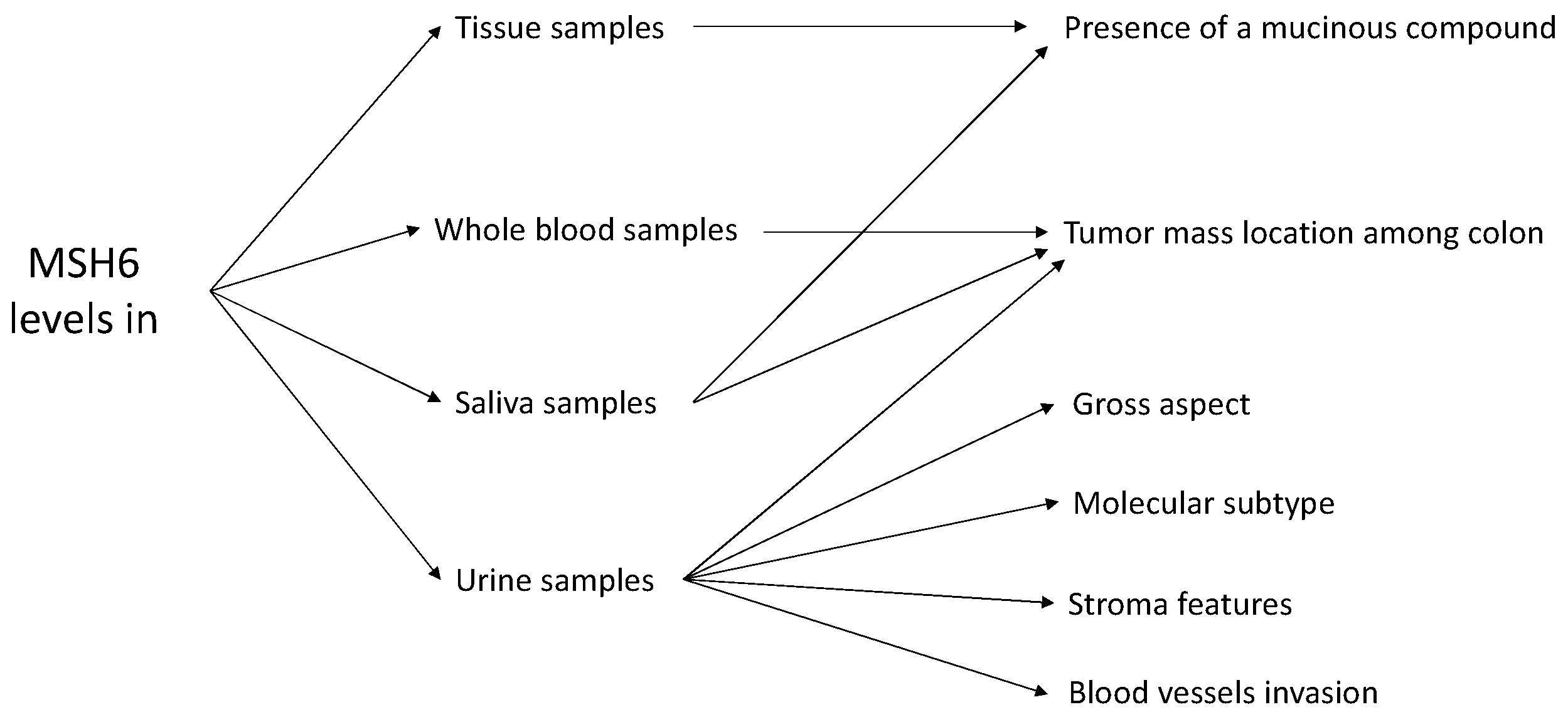 Biomedicines 11 03213 g007 Biomedicines 11 03213 g007