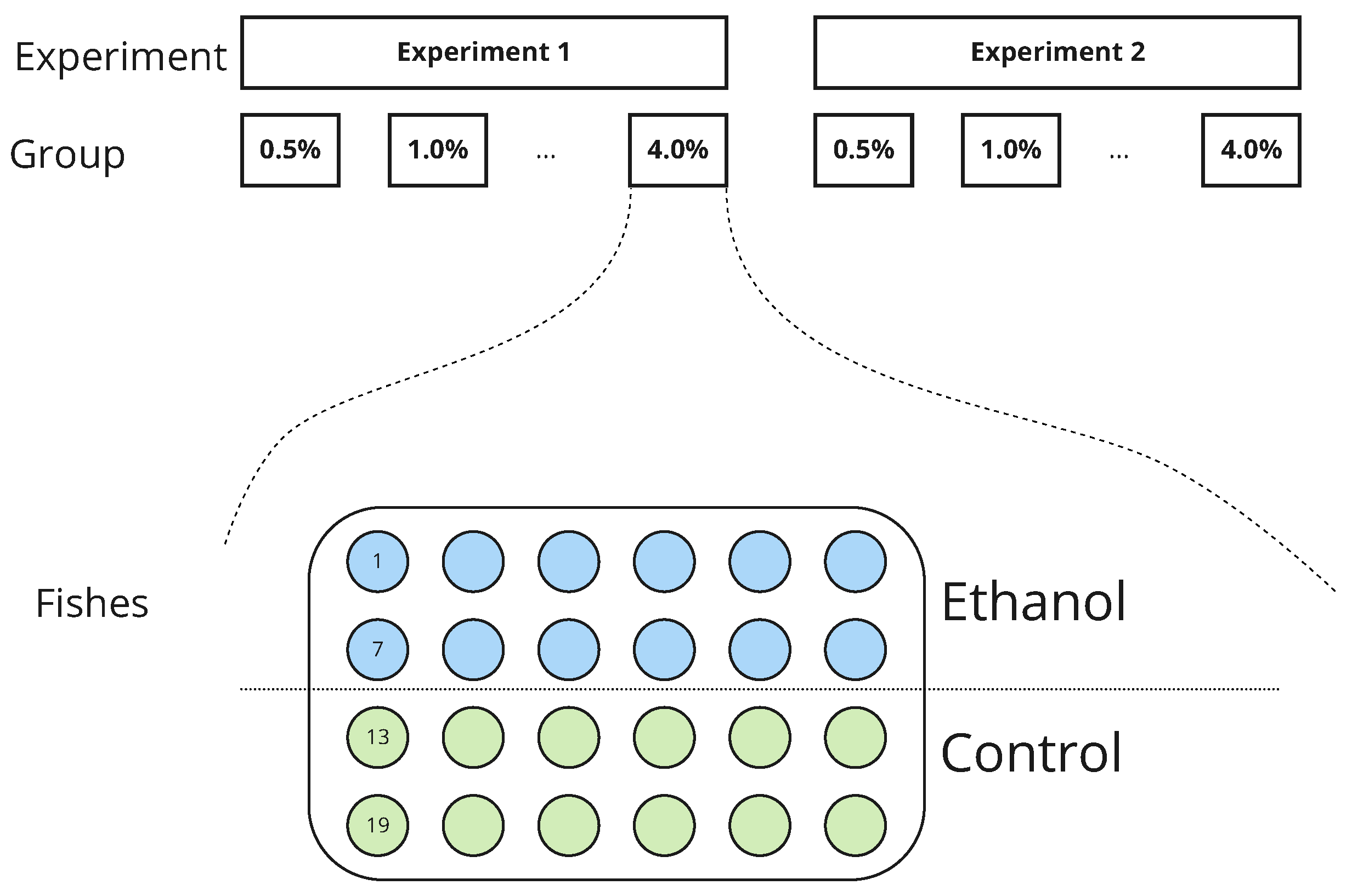 BonZeb: open-source, modular software tools for high-resolution zebrafish  tracking and analysis