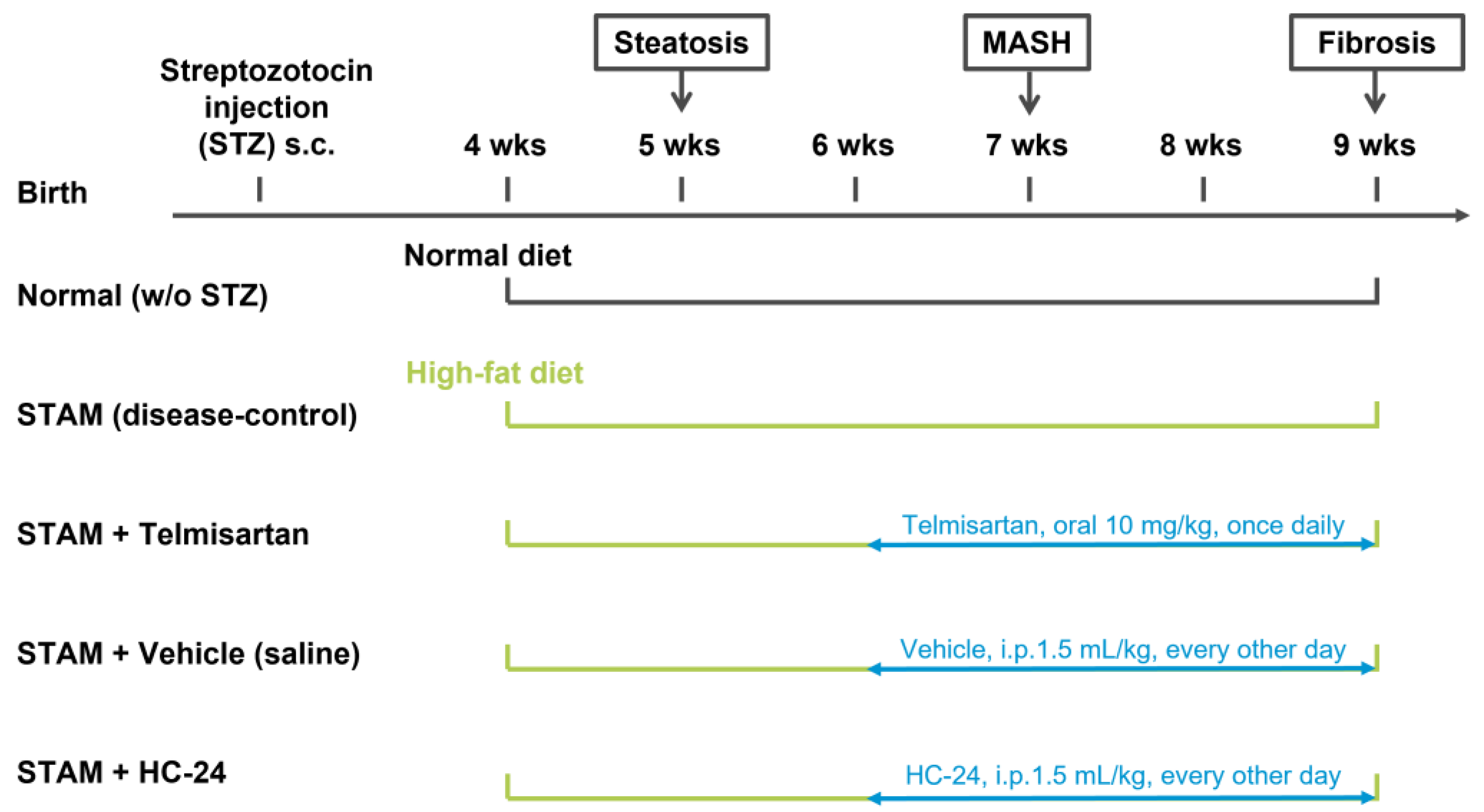 Biomedicines 11 03216 g001