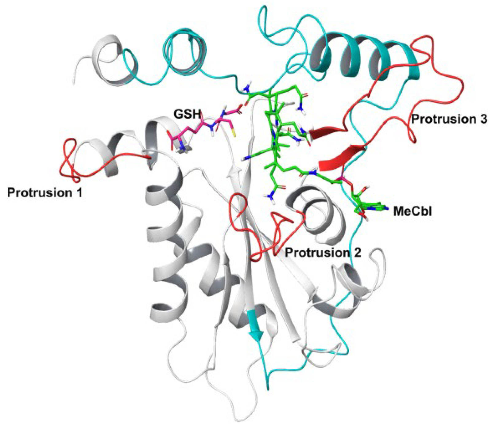 Biomedicines 11 03217 g001