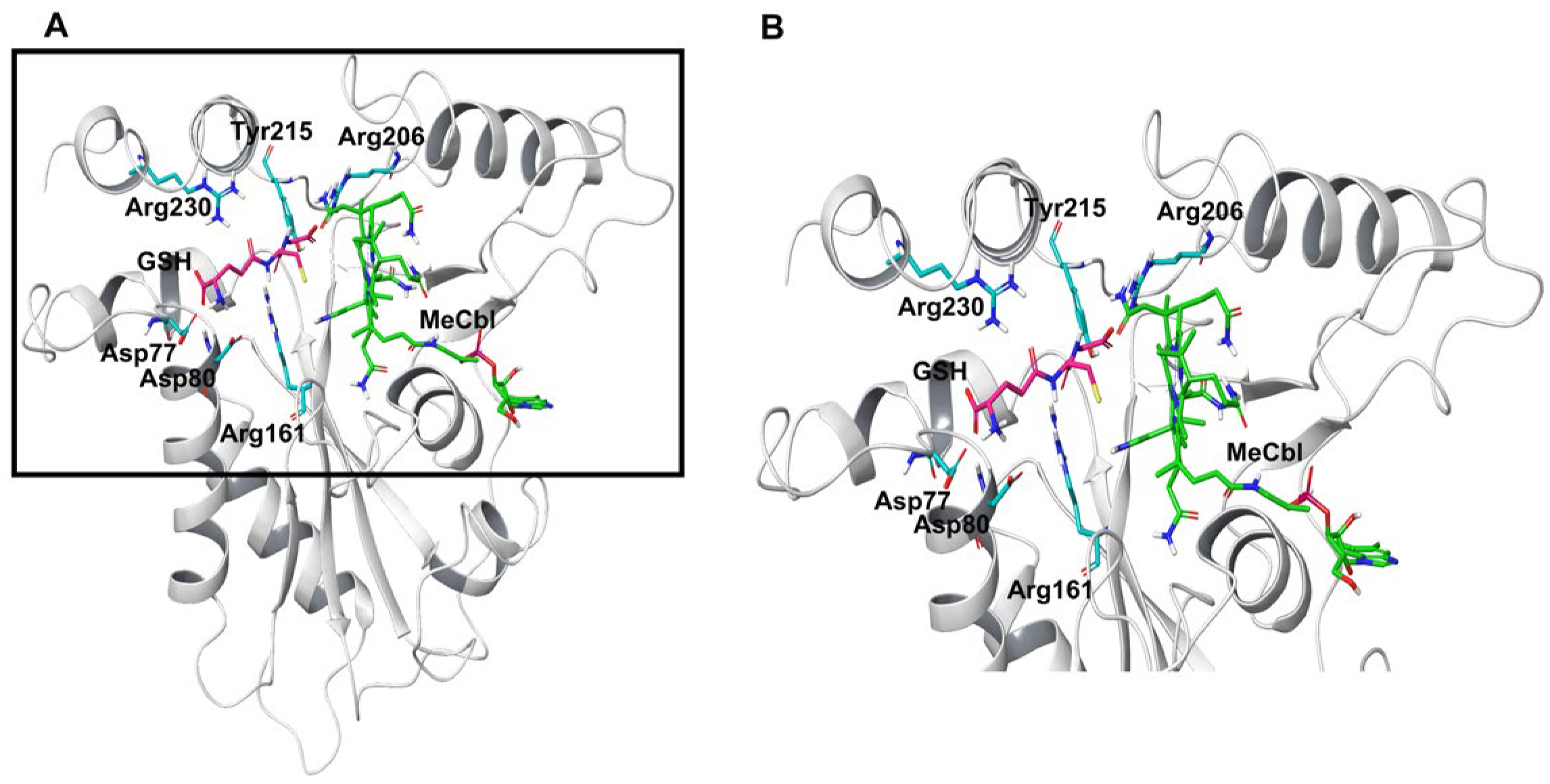 Biomedicines 11 03217 g004