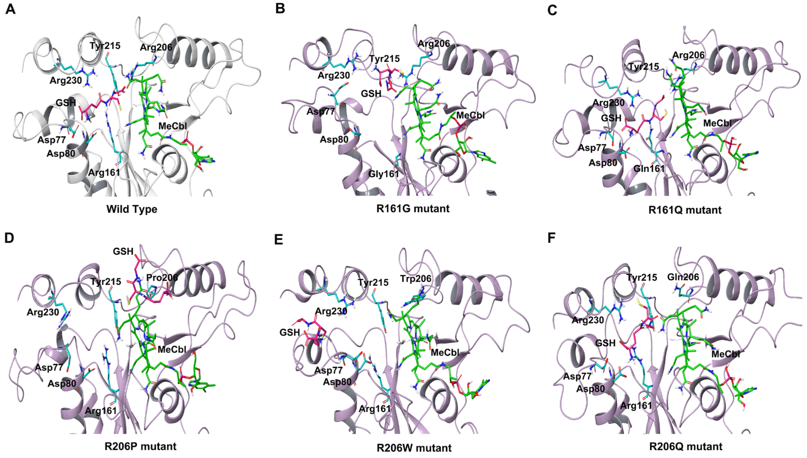 Biomedicines 11 03217 g005
