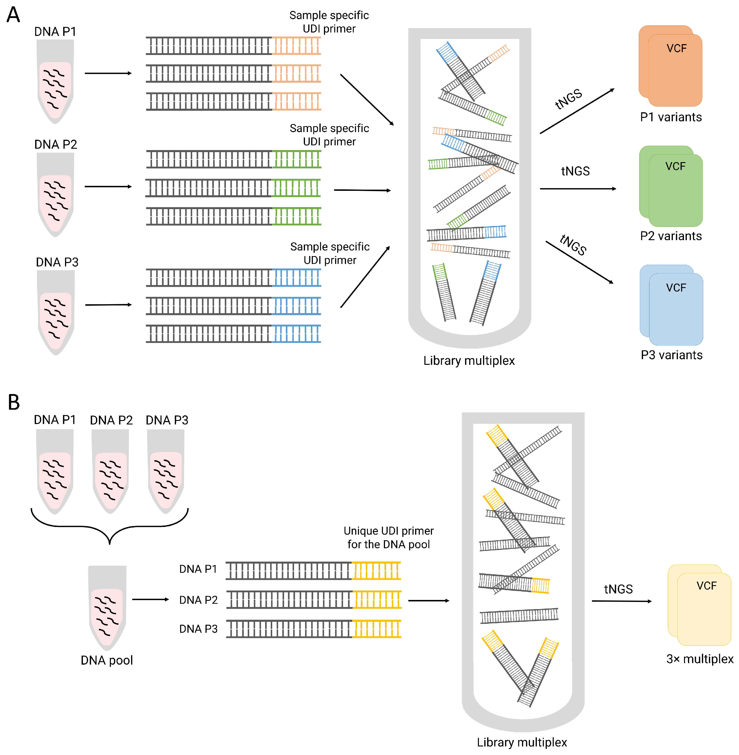 Biomedicines 11 03222 g001
