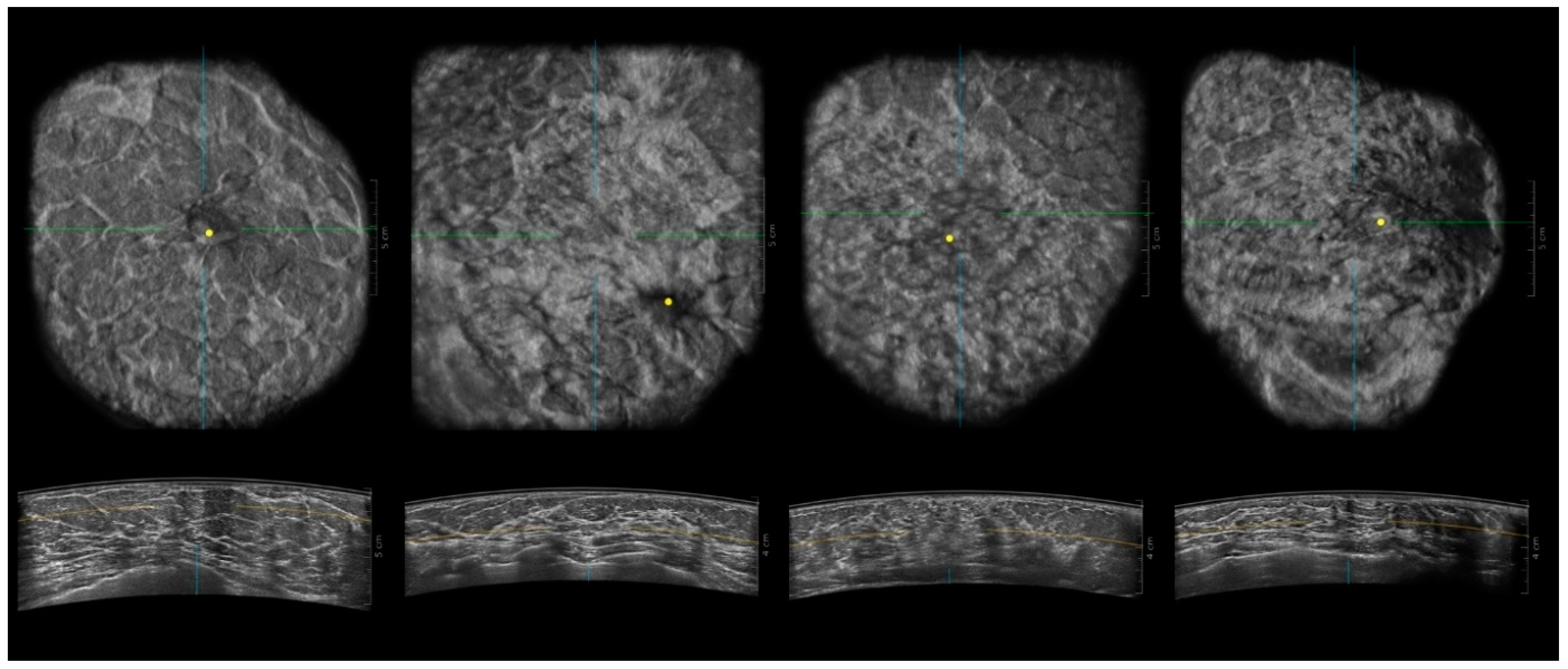 Biomedicines 11 03226 g002