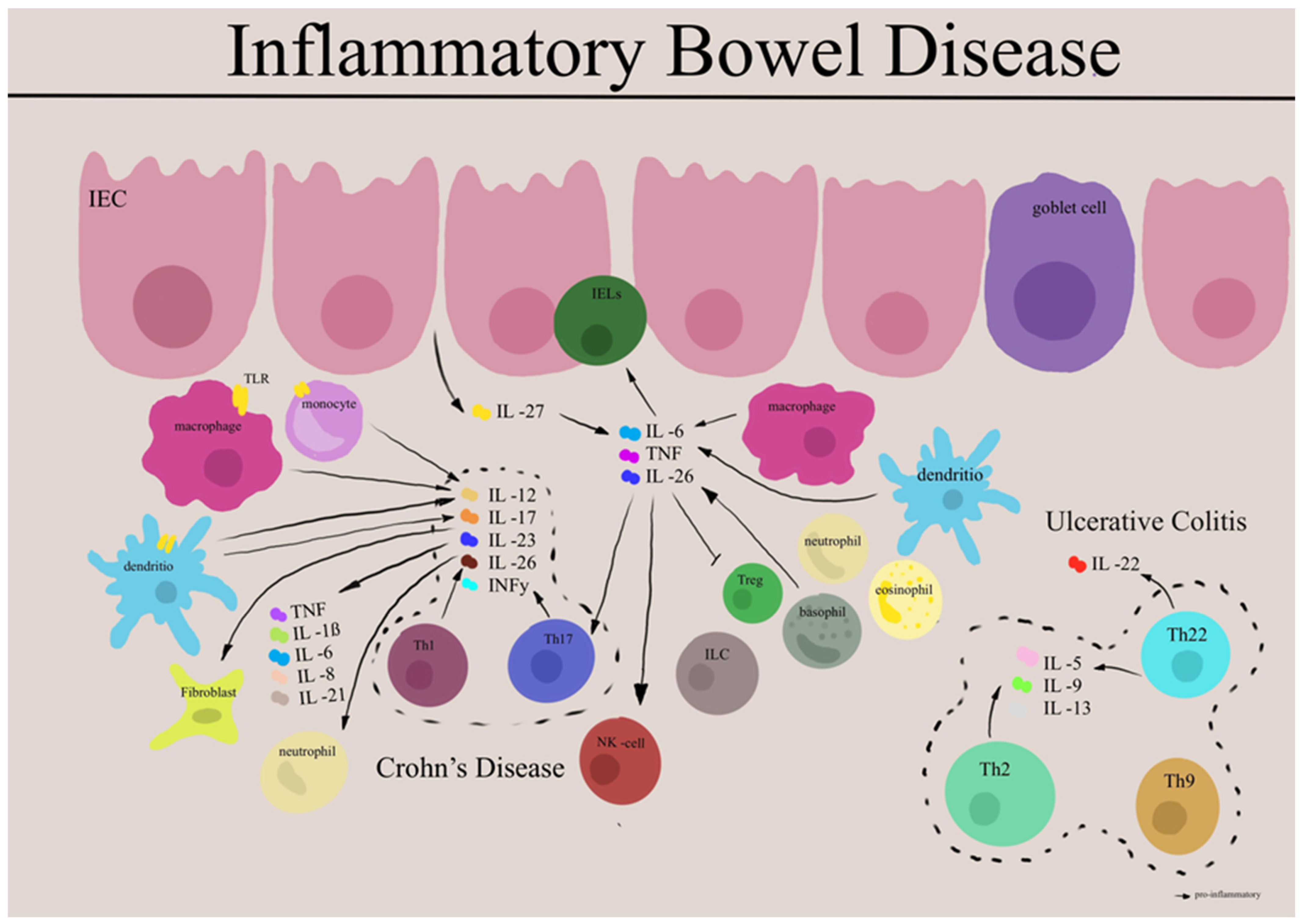 Pin by Cn Bt on Cells at work